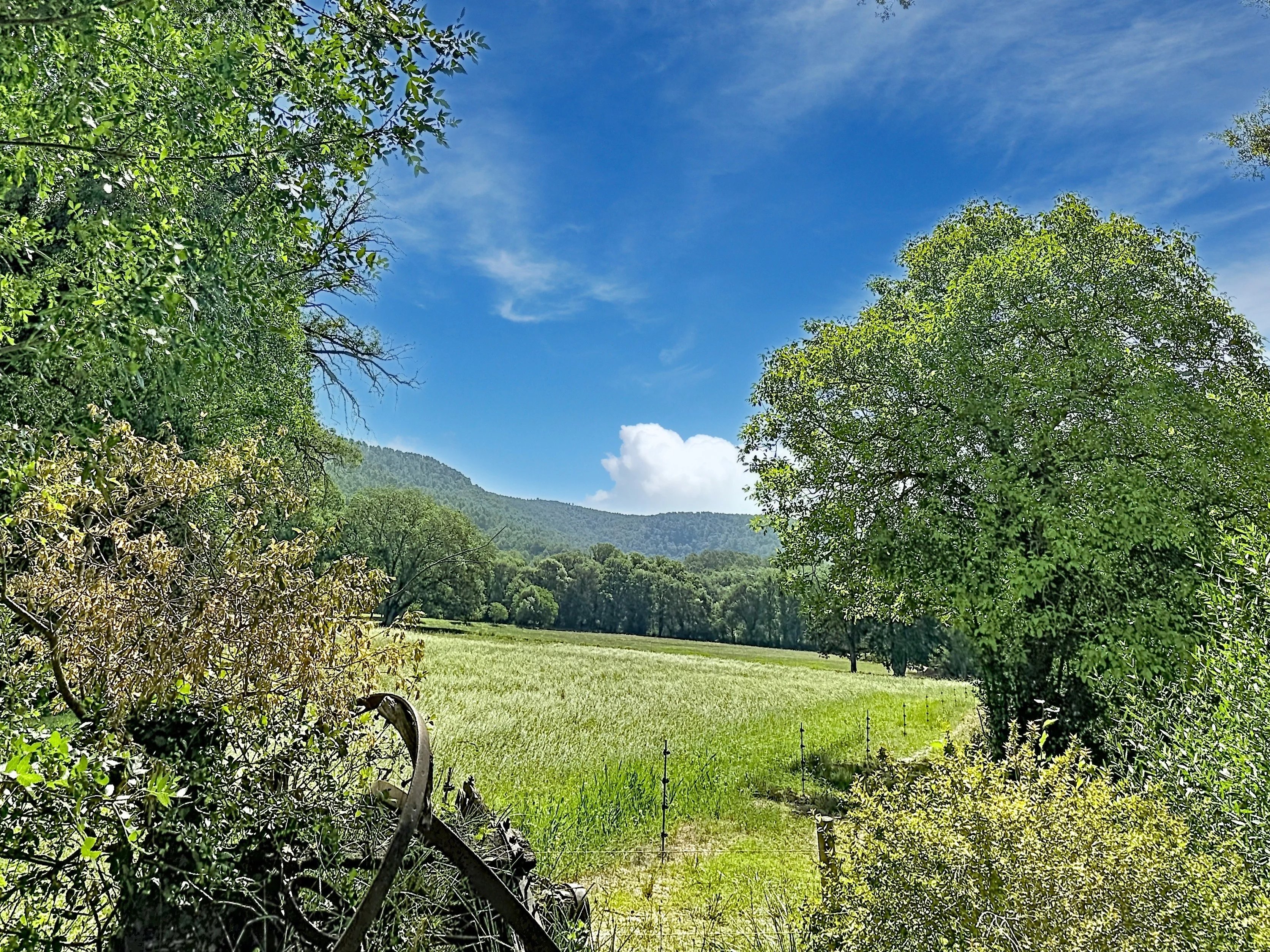 Exceptional property with 19th-century mill, detached villa, 2 pools on 1.6 hectares