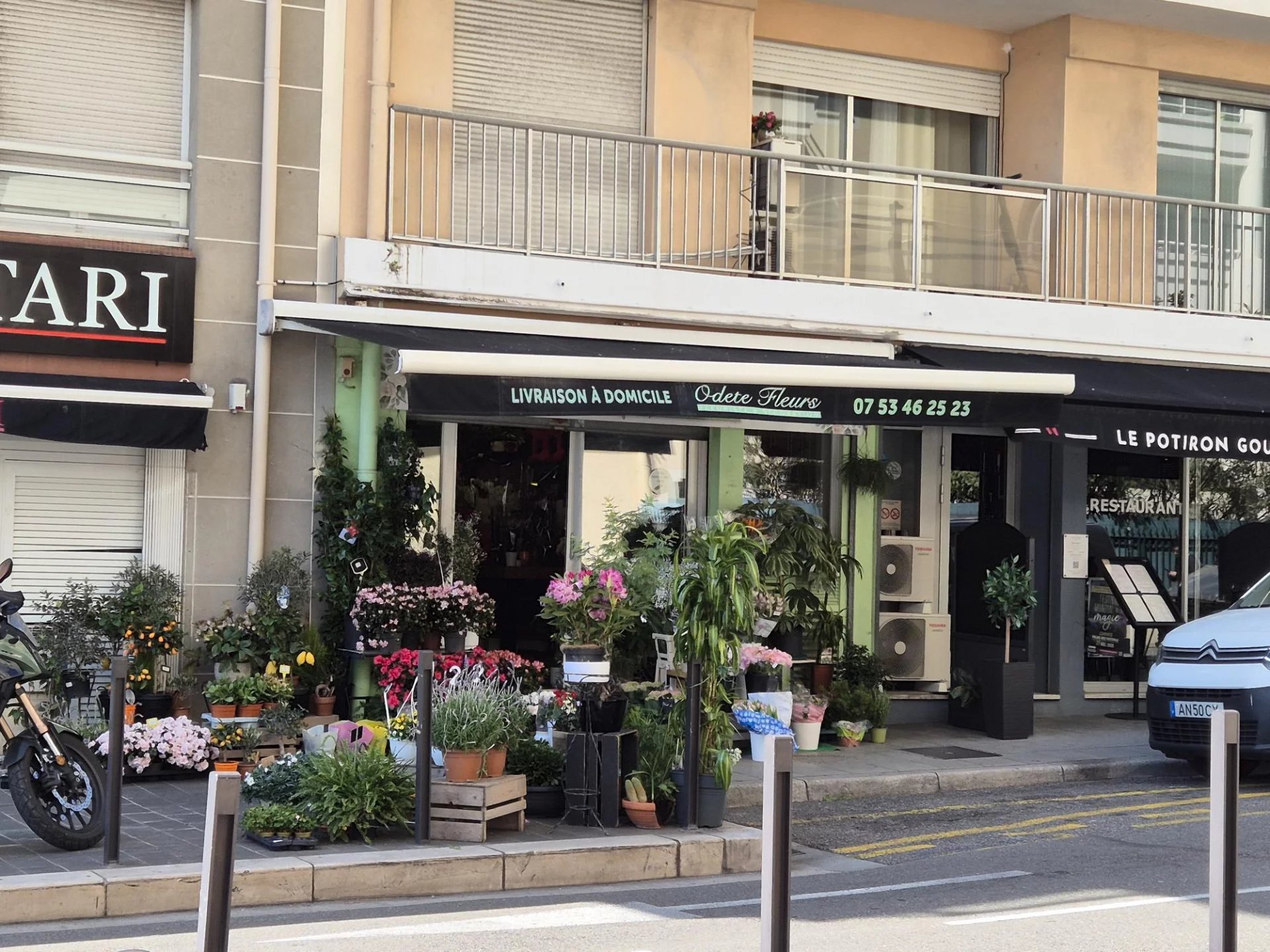 Agence immobilière de Agence Californie