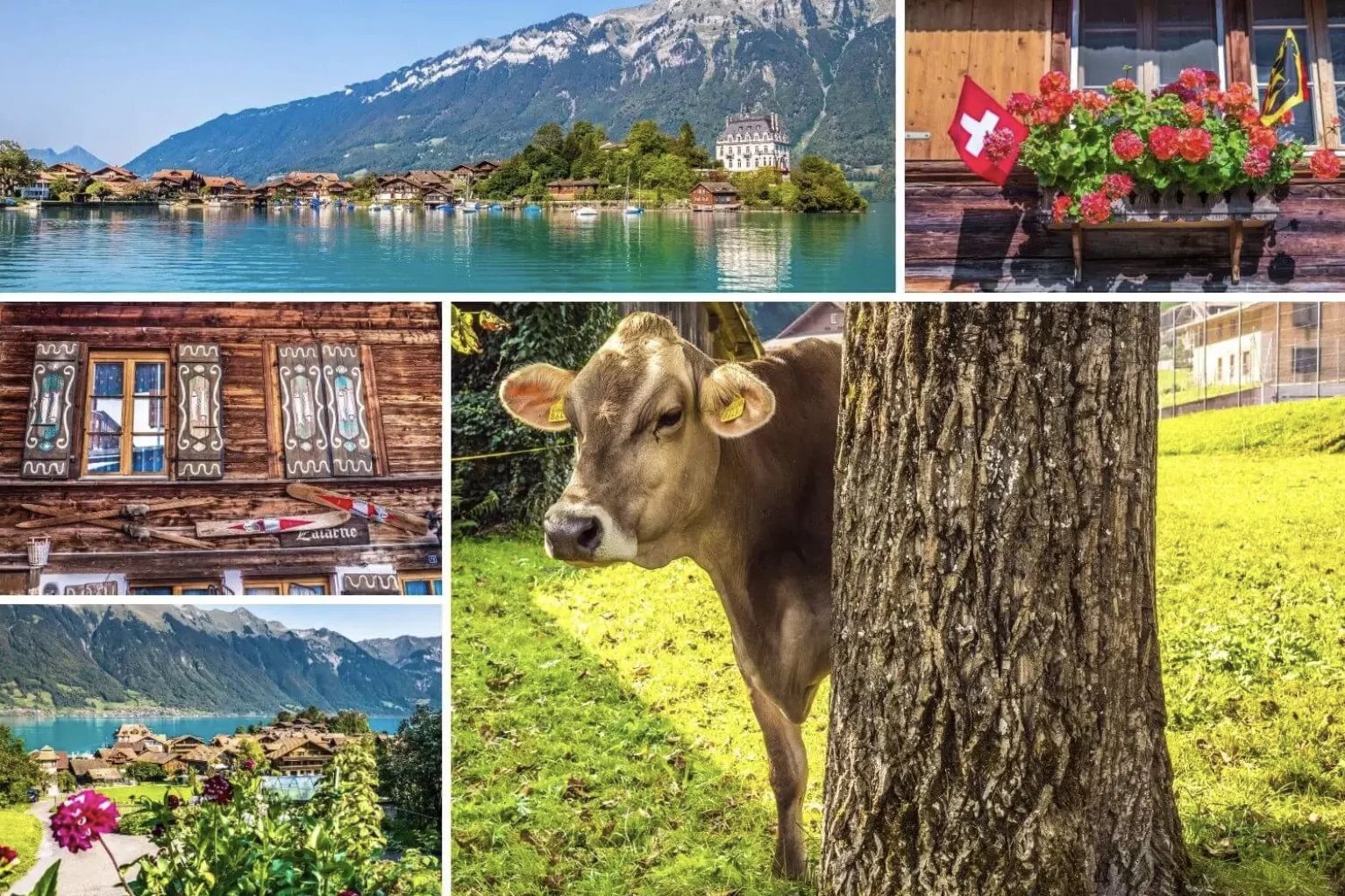 Votre duplex dans l'Oberland Bernois, la magie de la Suisse