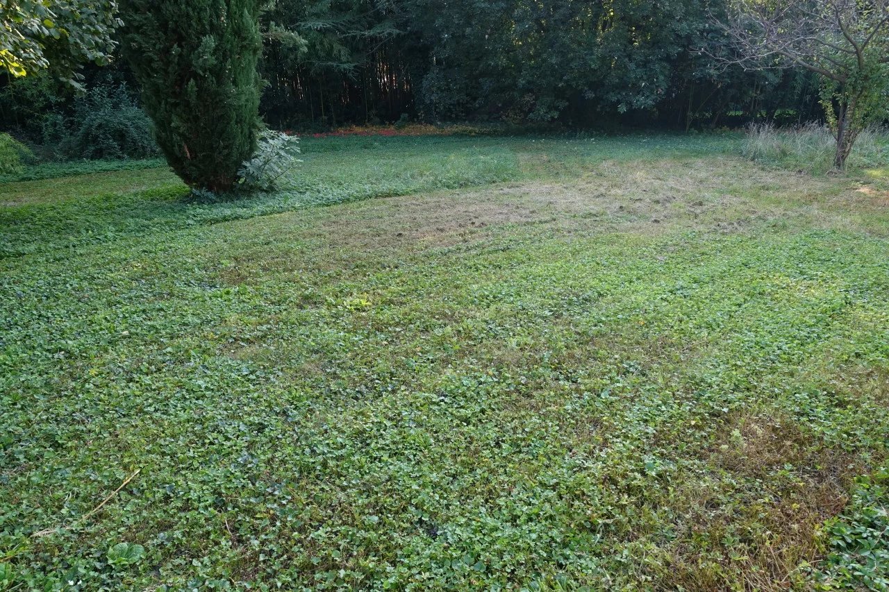 Maison de 165 m² avec Parc Arboré de 2000 m² — photo 4