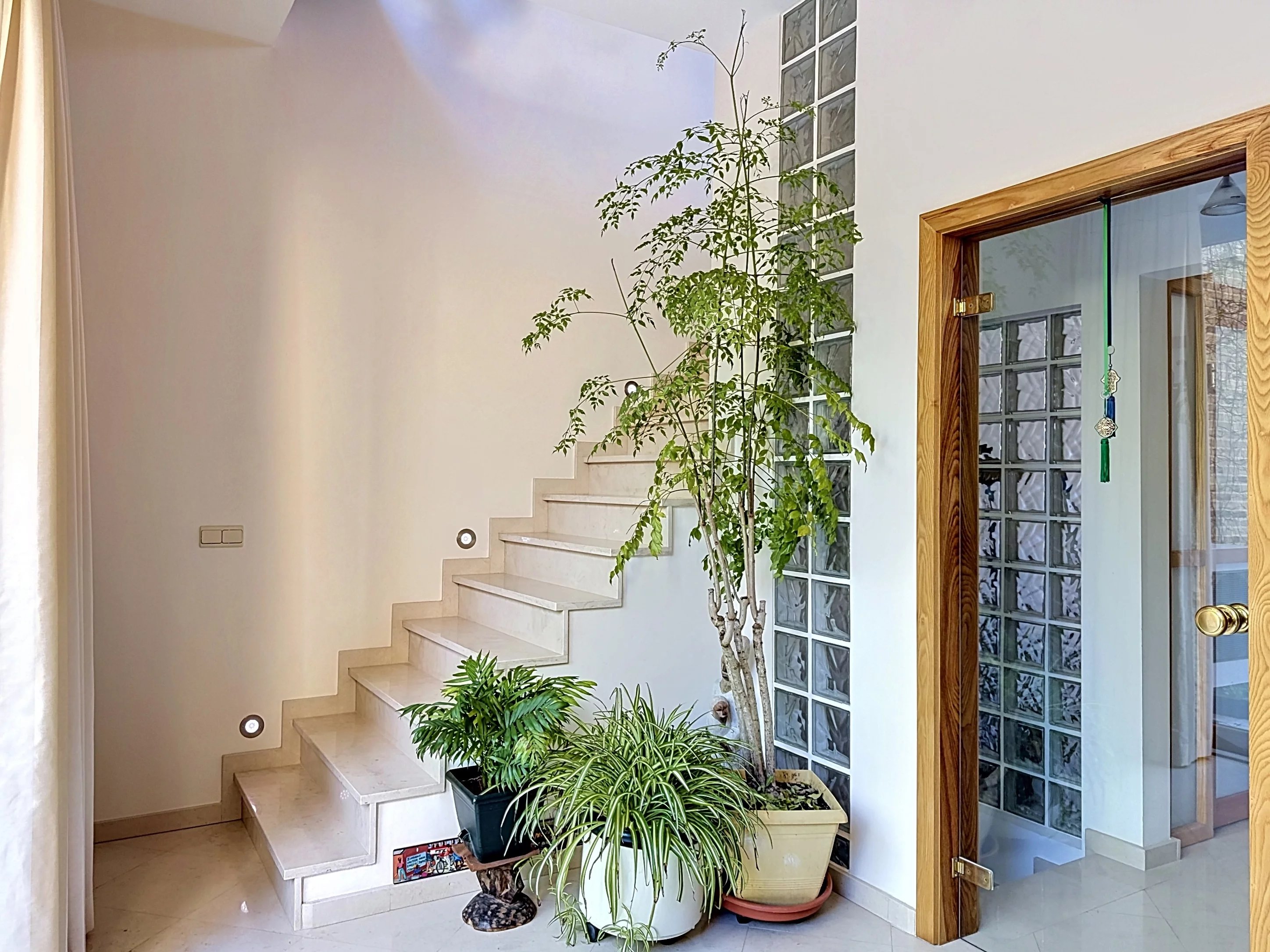 Square Plasky - Maison meublée 1 chambre avec jardin, terrasses et garage