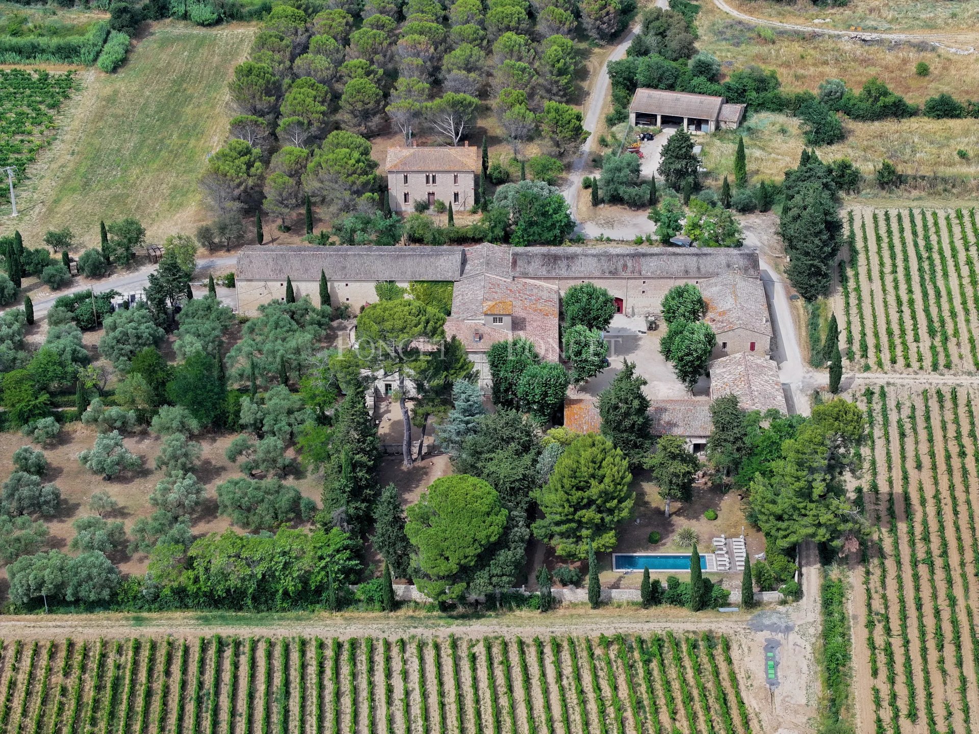 10 Bedroom Vineyard's Image 3
