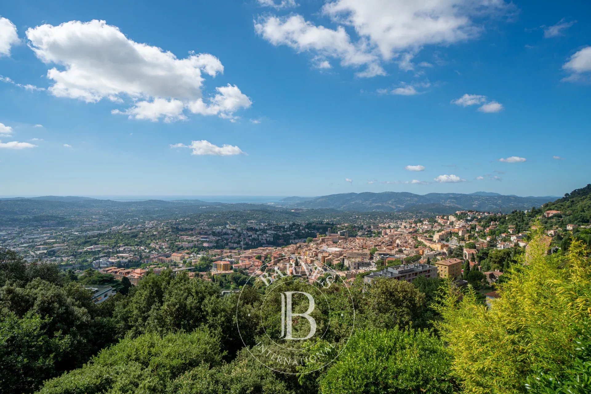 Ev Grasse - picture 5