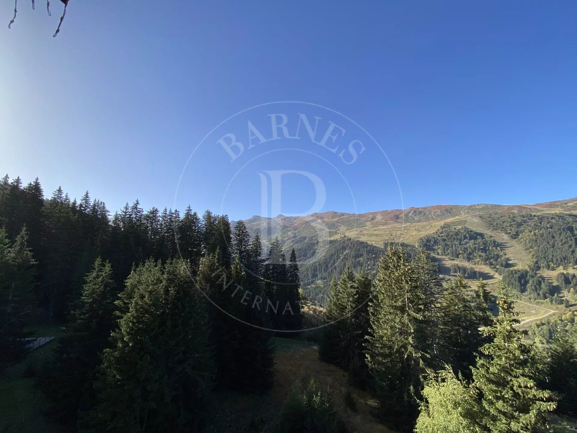 Daire Méribel - picture 12