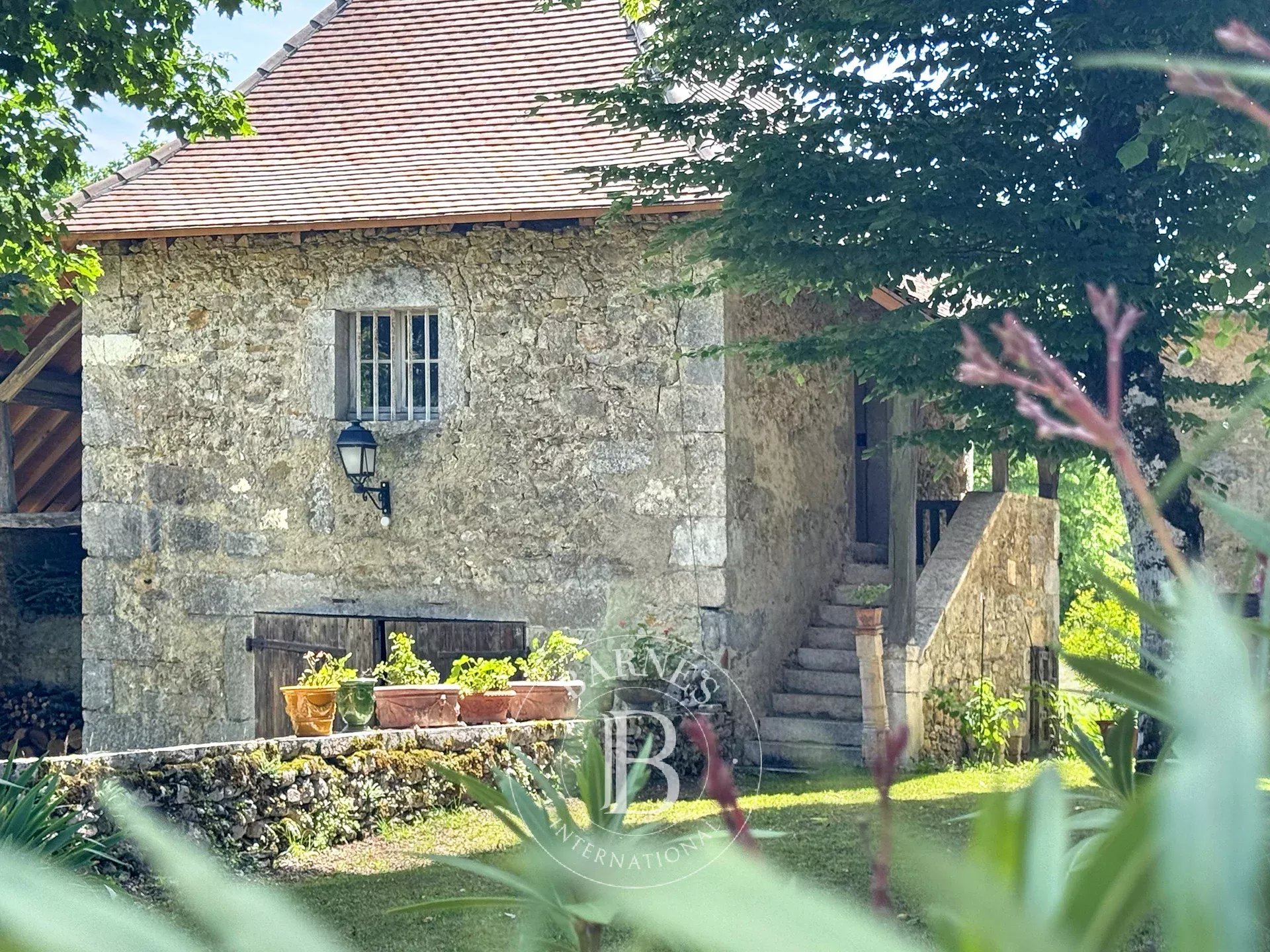 Chazey-Bons  - Propriété  - picture 11