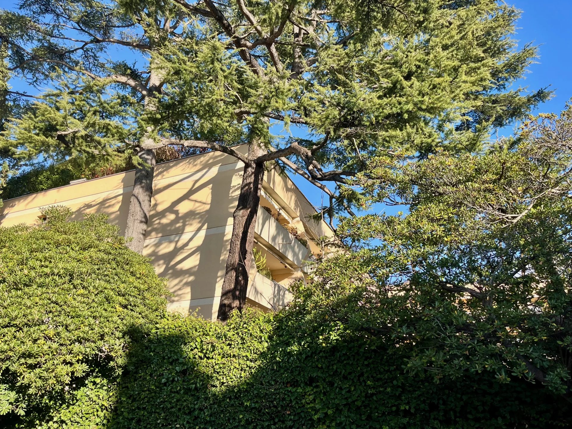 Продажа Квартира - Ницца (Nice) Cimiez