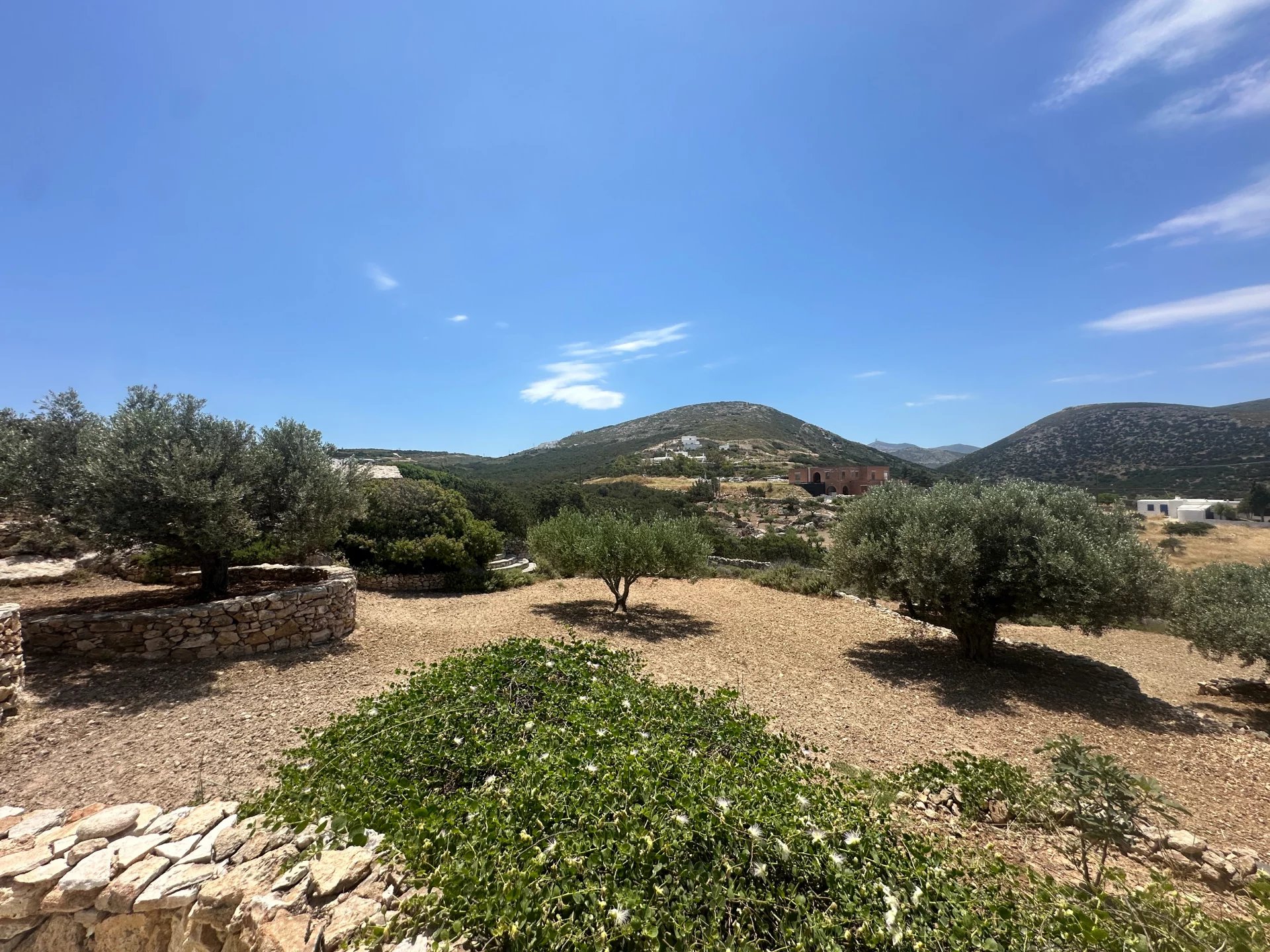 Εικόνα ιδιοκτησίας 79