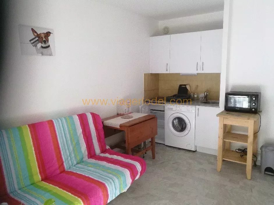 Affitto Appartamento - Nizza (Nice)