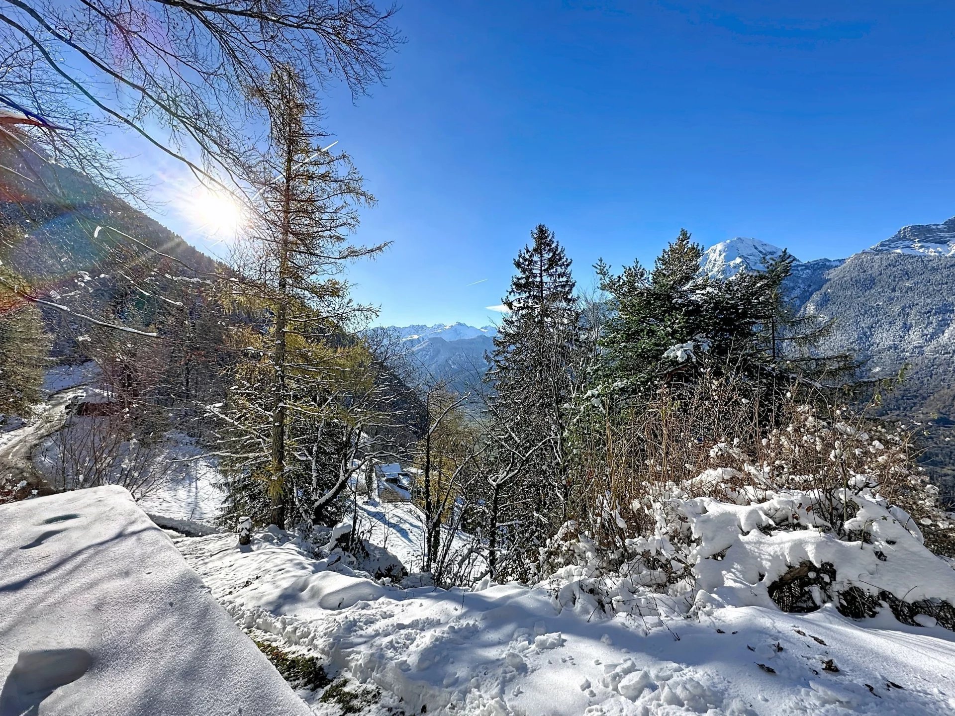 Vue panoramique sur le Mont-Blanc et la Cime de l'Est