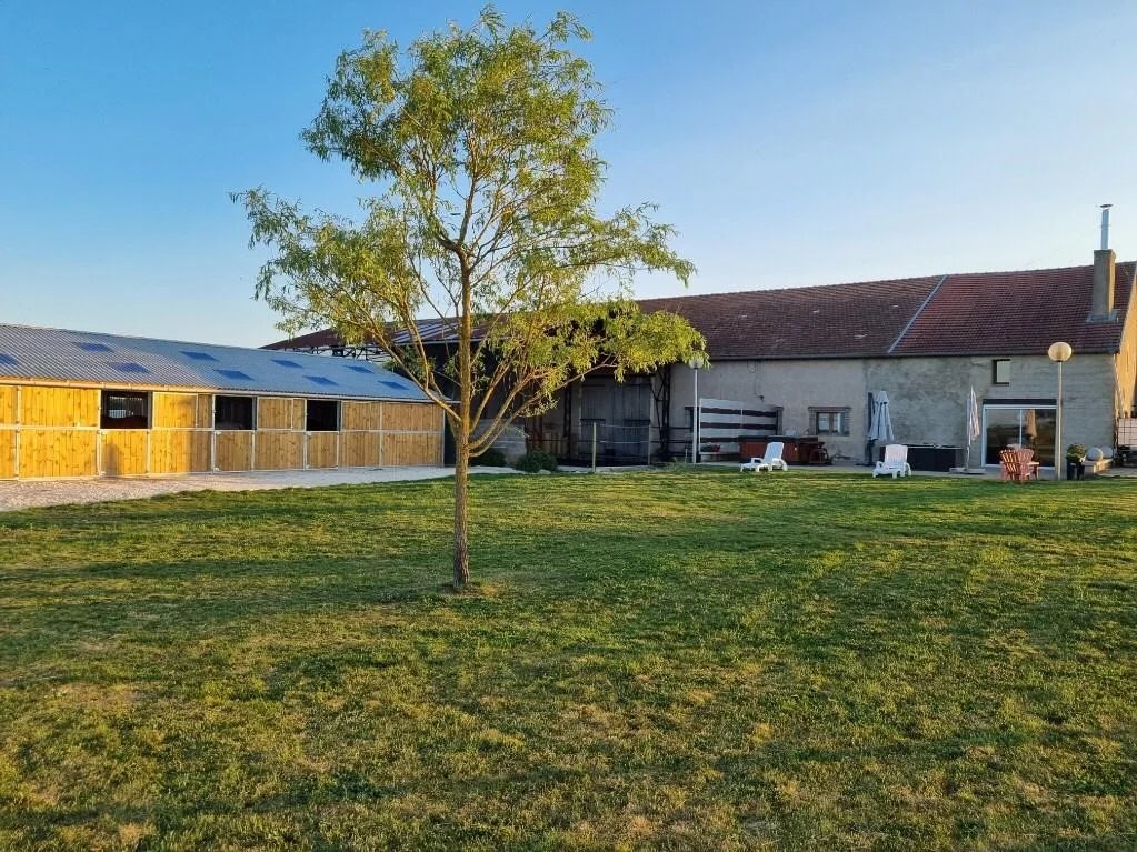 For Sale Equestrian estate | Lachaussée - picture 2