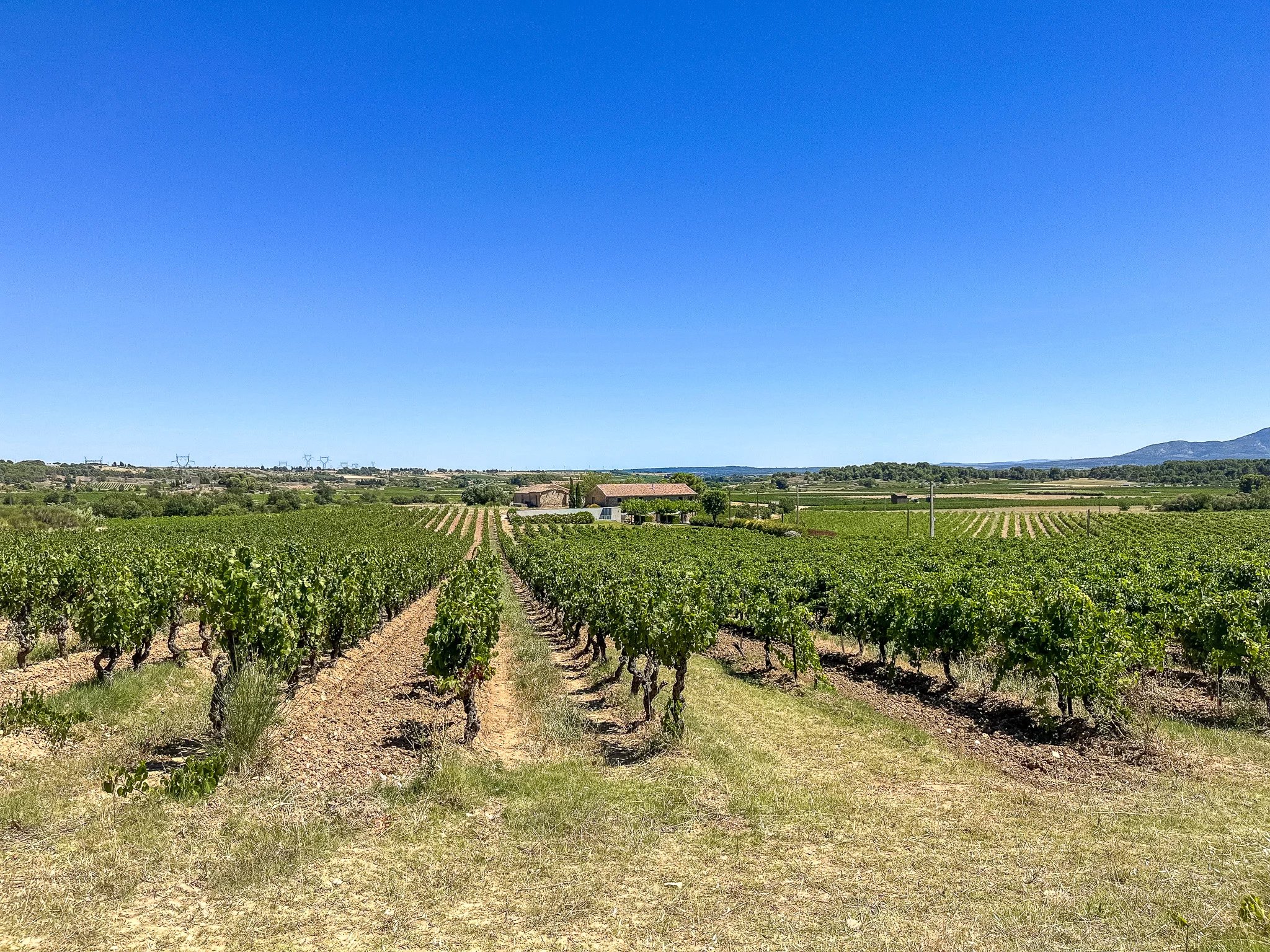 Property for sale Rieux-Minervois, Aude