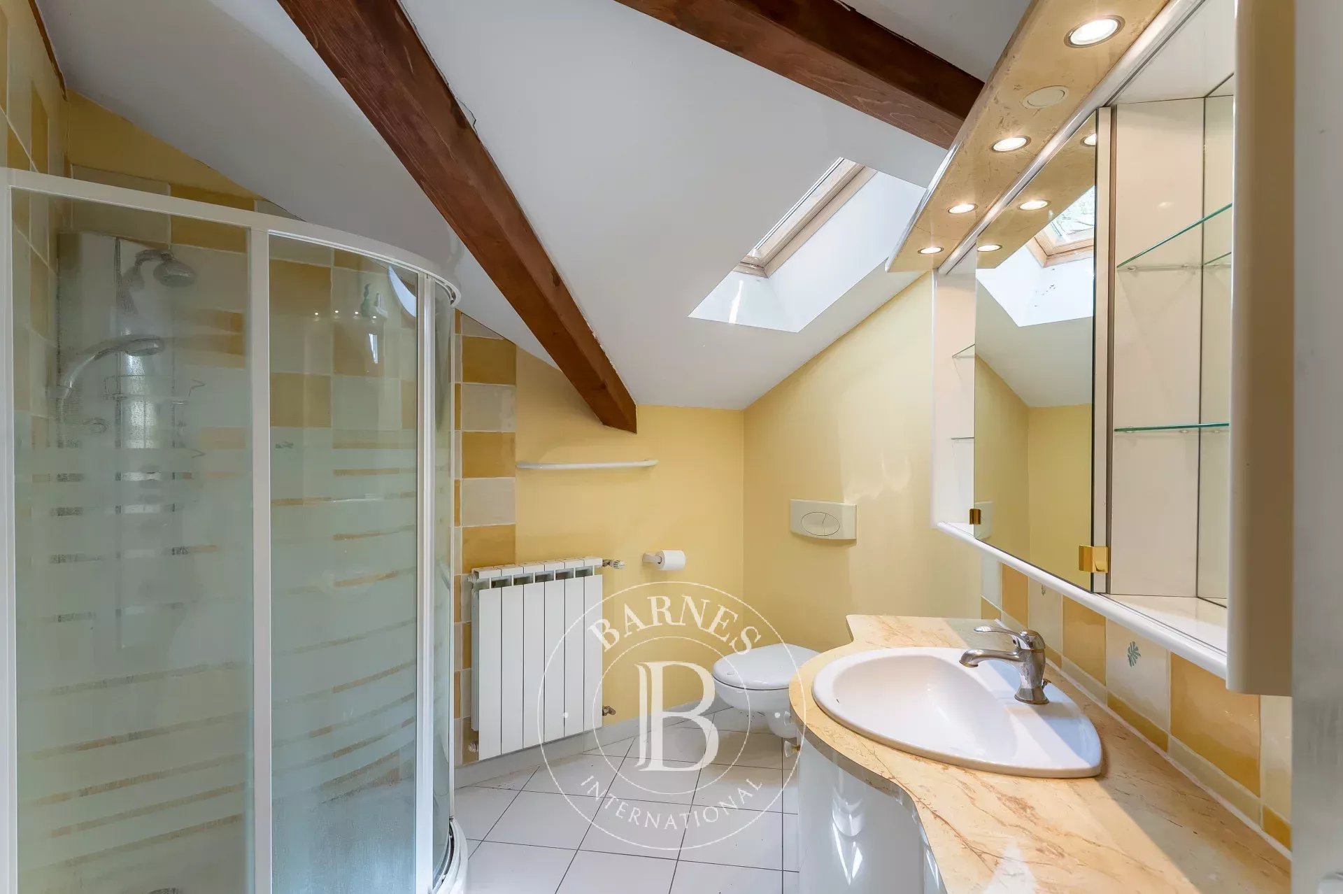 Ev Annecy-le-Vieux - picture 9