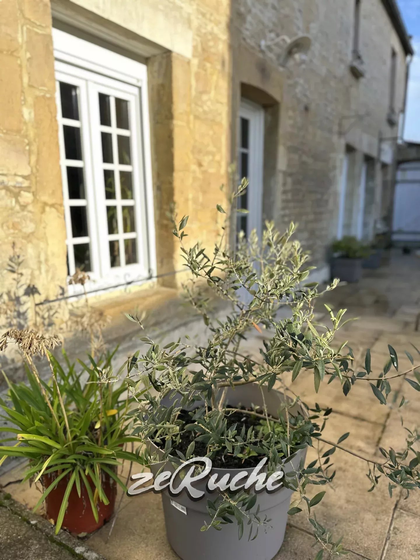 Agence immobilière de ZERUCHE