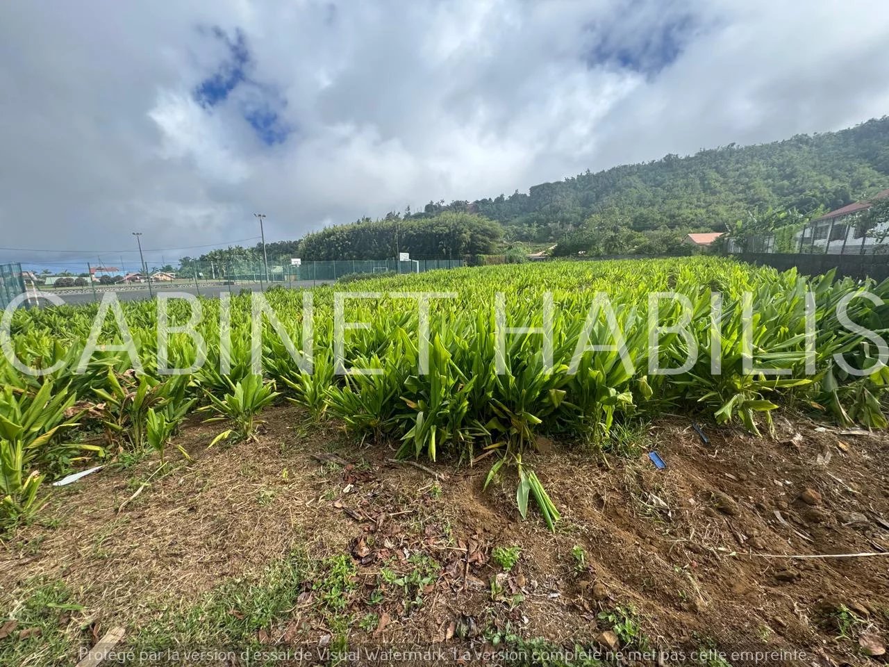 Vente Terrain Saint-Joseph