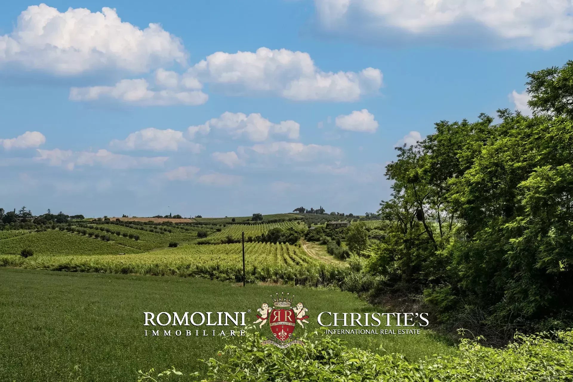 16 Bedroom Vineyard's Image 7