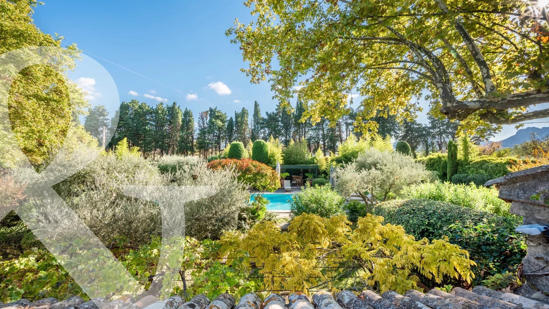 AU COEUR D'UN MAGNIFIQUE PARC BUCOLIQUE