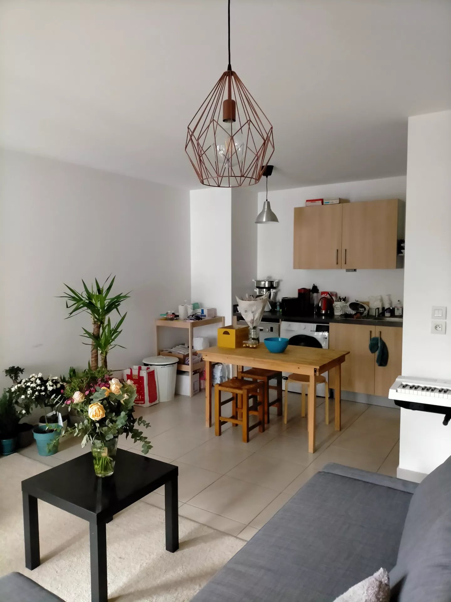 481374 Location Tassin-la-Demi-Lune