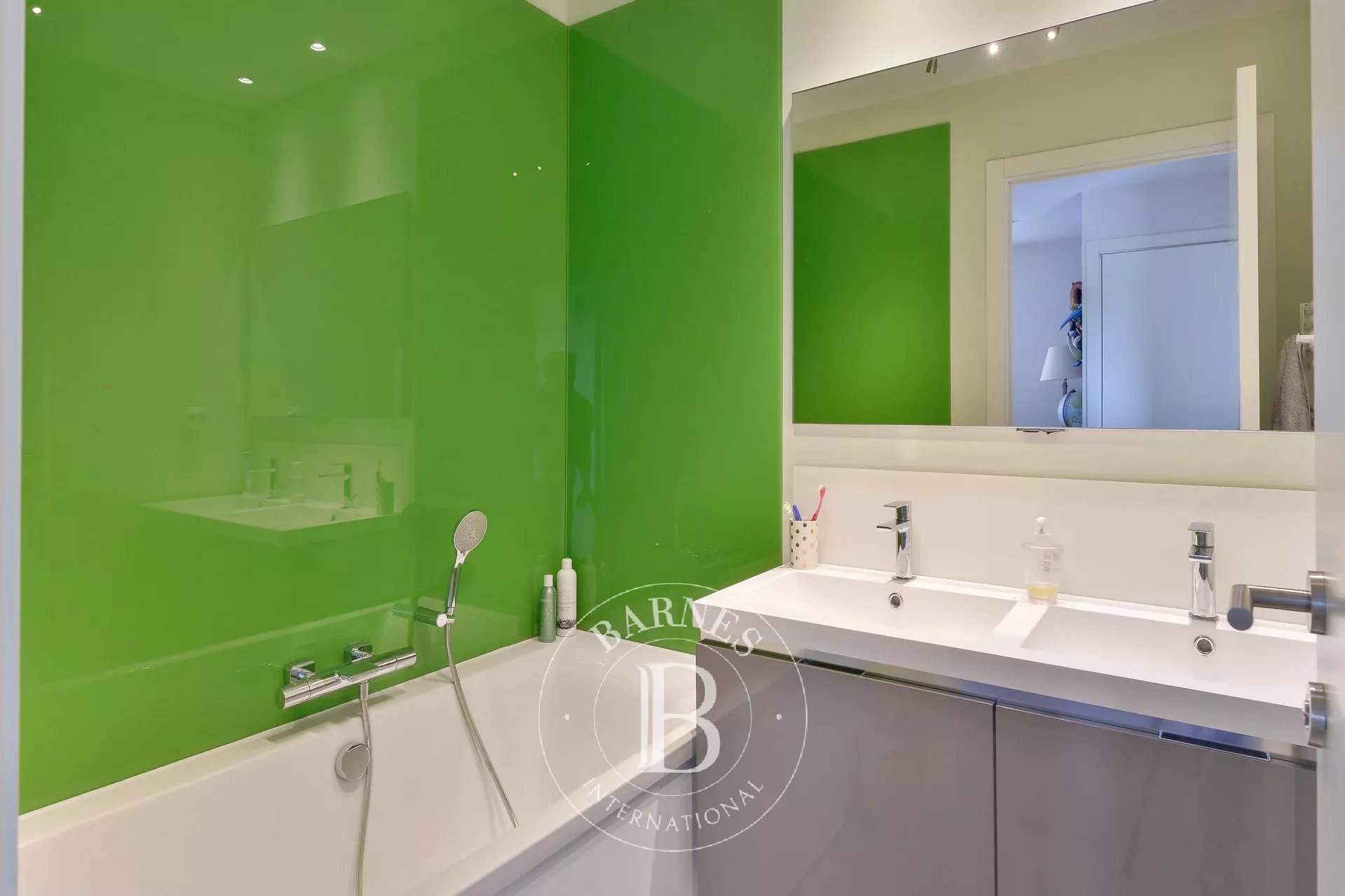 Ev Limonest - picture 10