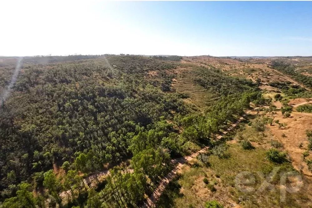 Exceptional 65-Hectare Estate in Alentejo with Tourism Development Potential 85506160 image 5