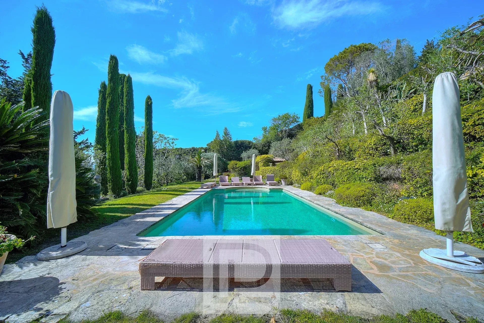 Piscine entourée de végétation luxuriante sous un ciel bleu.