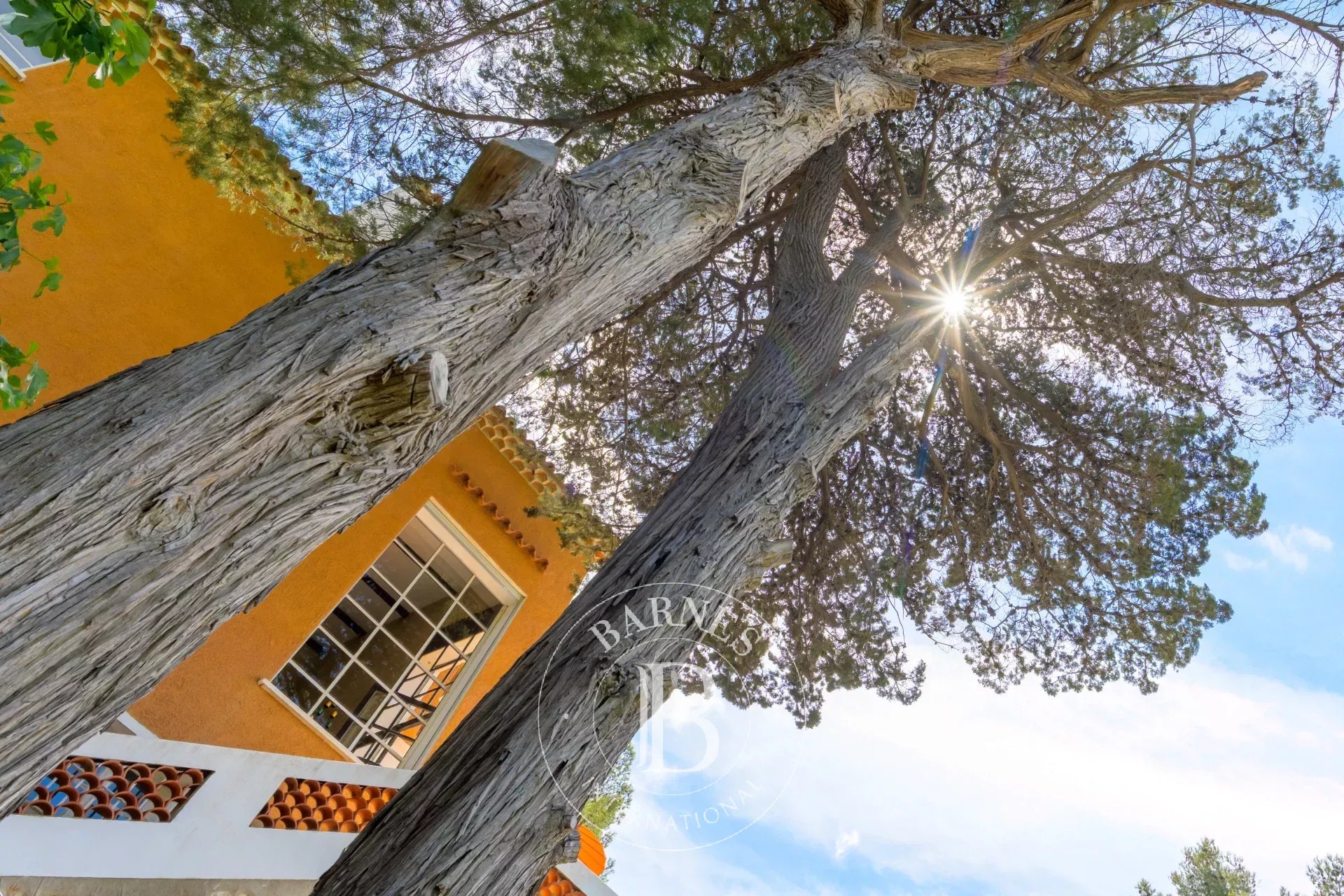 Villa Bandol - picture 7