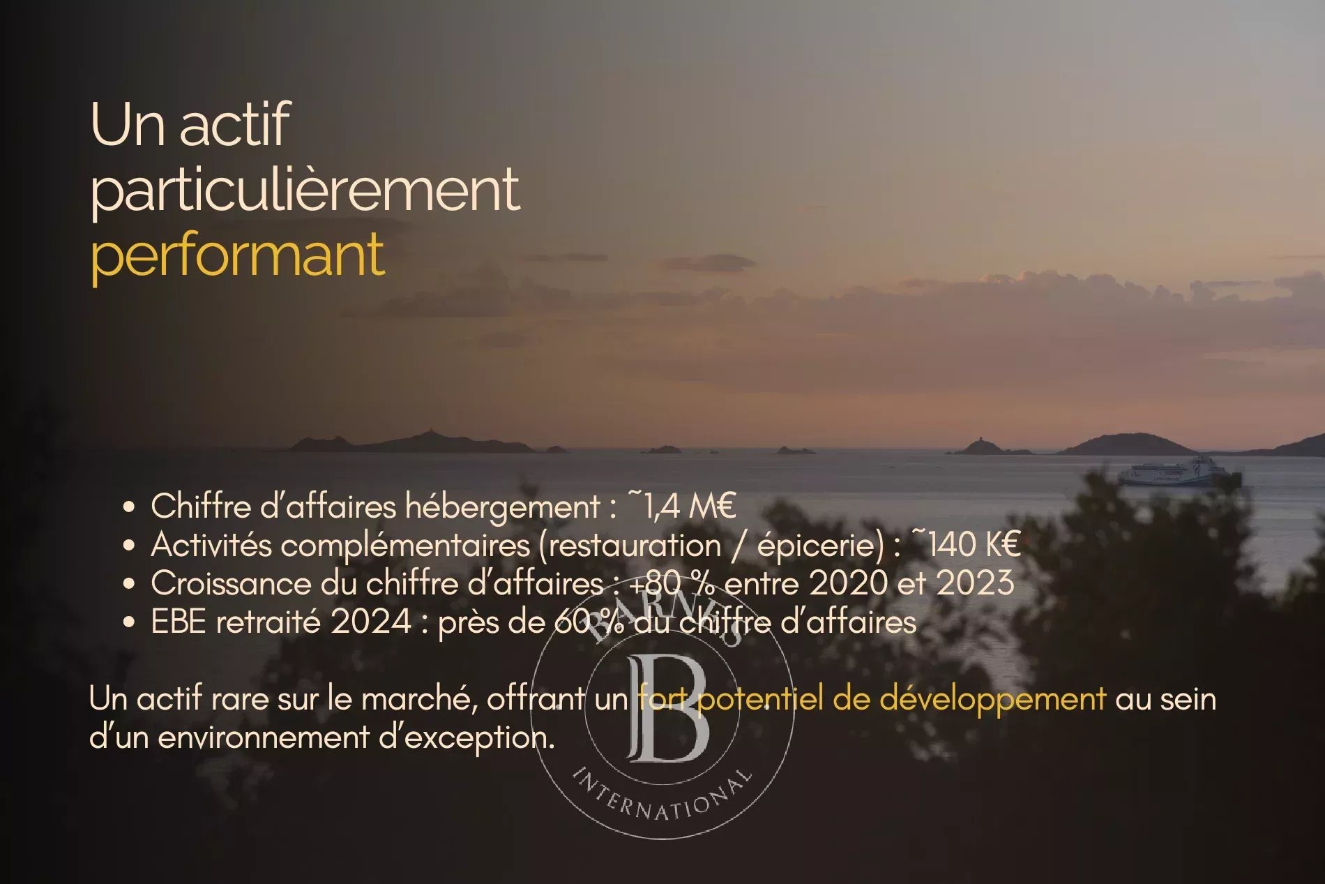 Entreprise Ajaccio  -  ref 86895213 (picture 3)