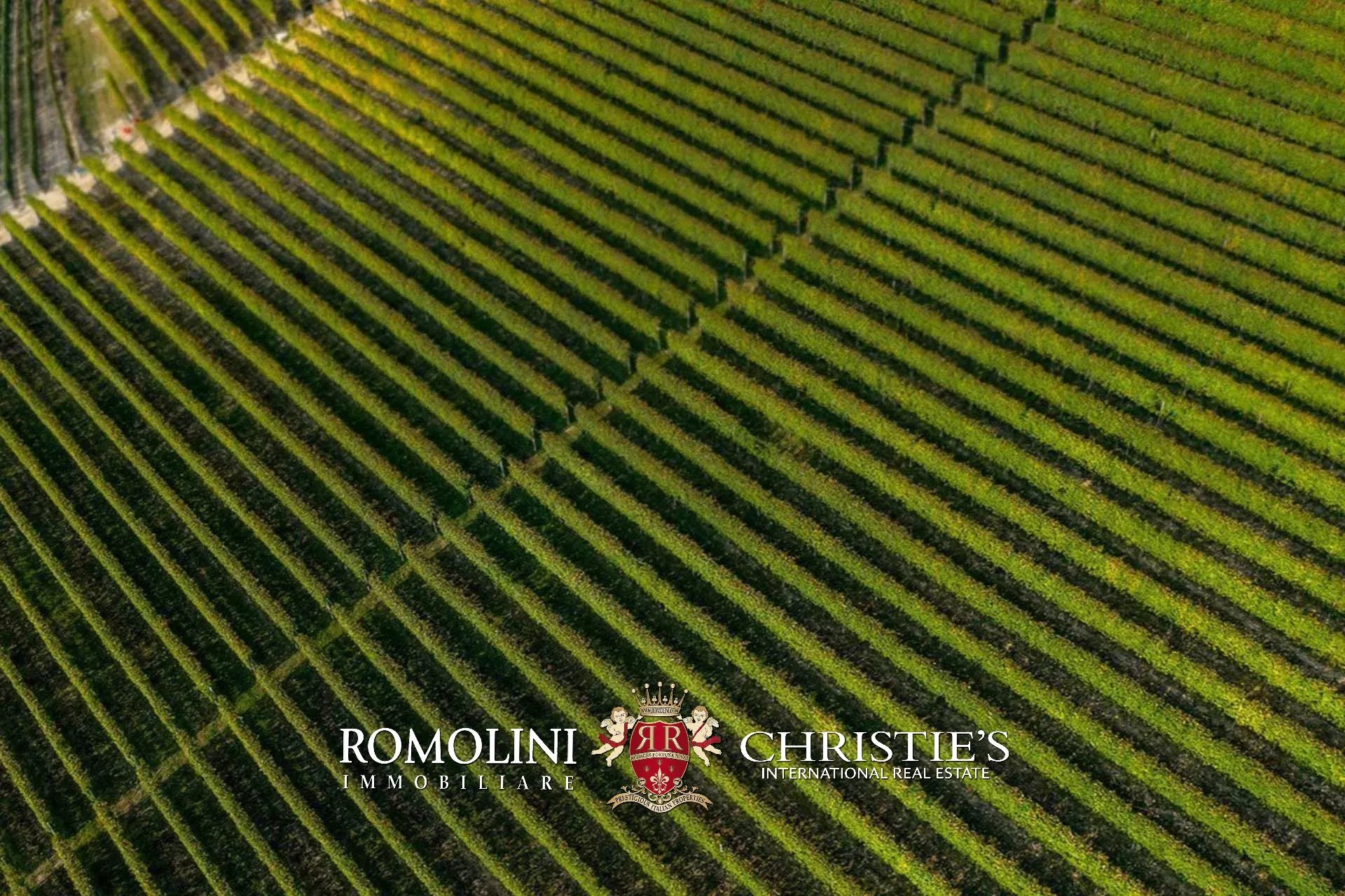 5 Bedroom Vineyard's Image 19
