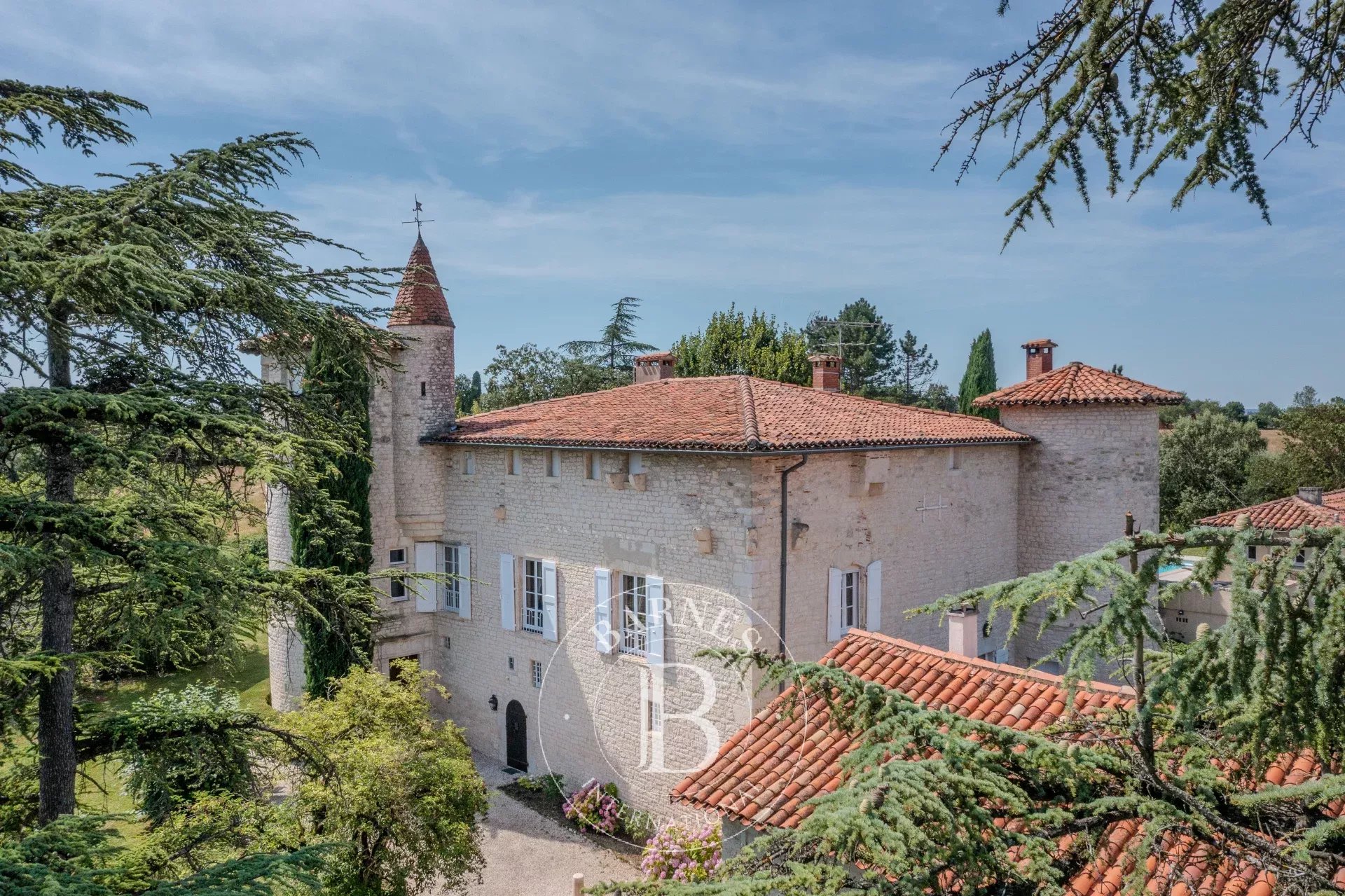 Château Albi  -  ref 86402180 (picture 2)