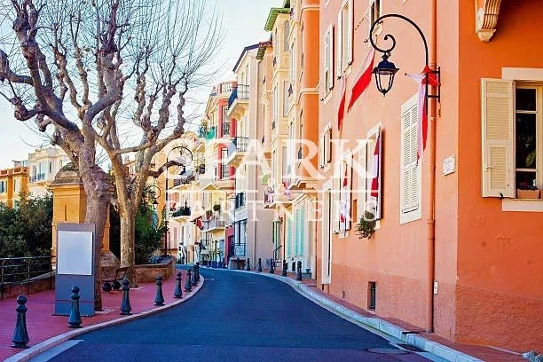Street in Monaco Village in Monaco Monte Carlo, daytime