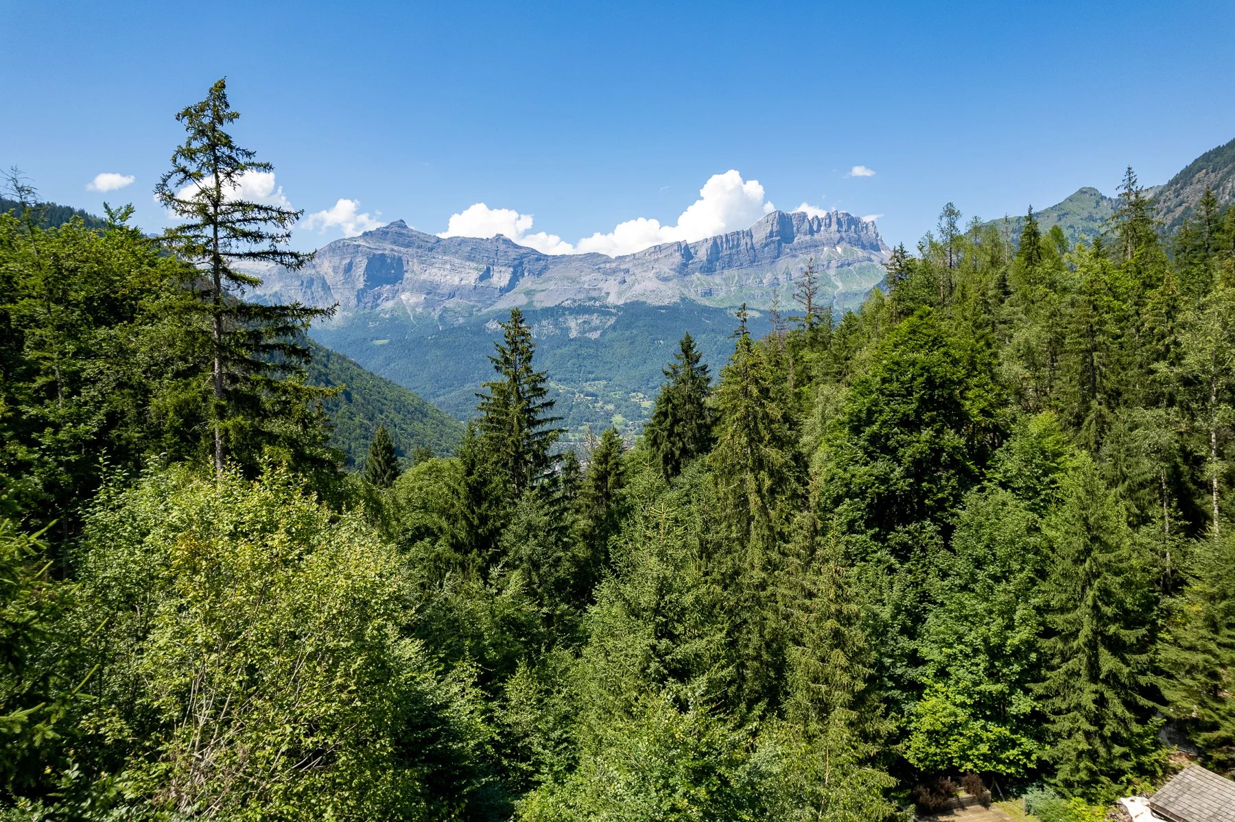Photo of VAUDAGNE, LES HOUCHES - A beautiful, secluded farmhouse