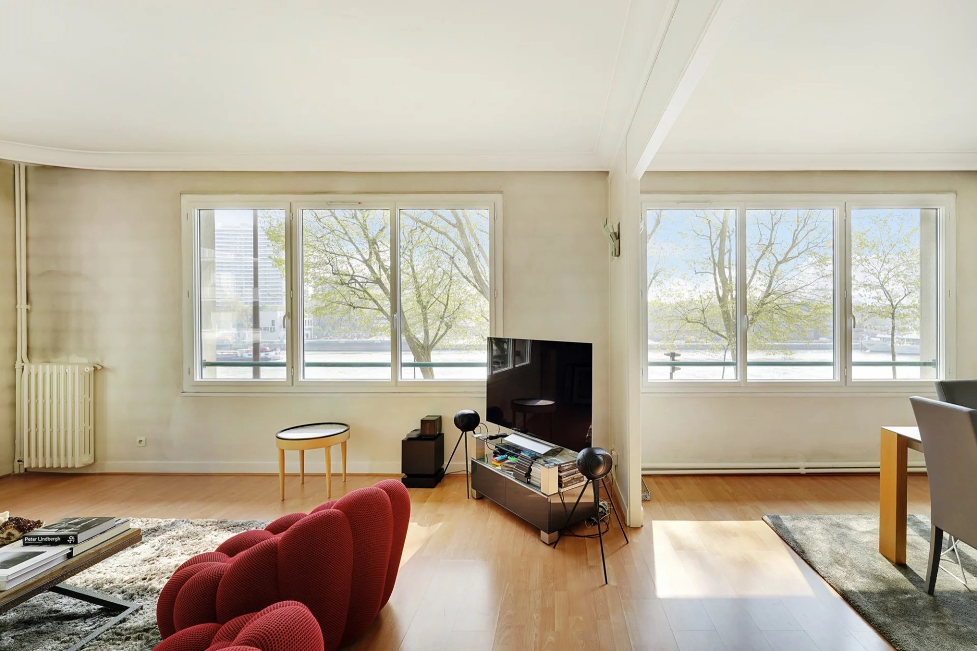 VUE SUR LA SEINE