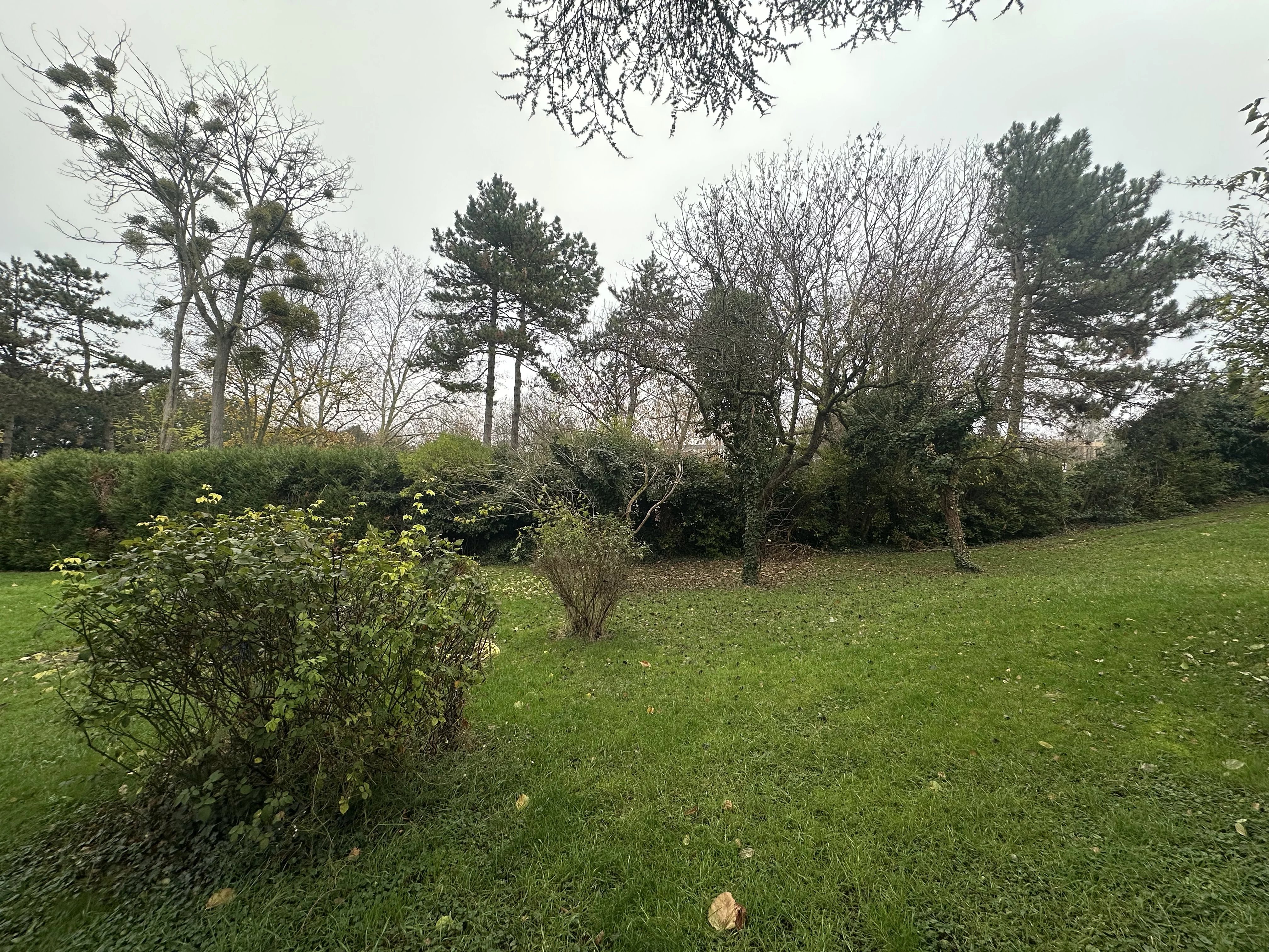 TERRAIN CONSTRUCTIBLE