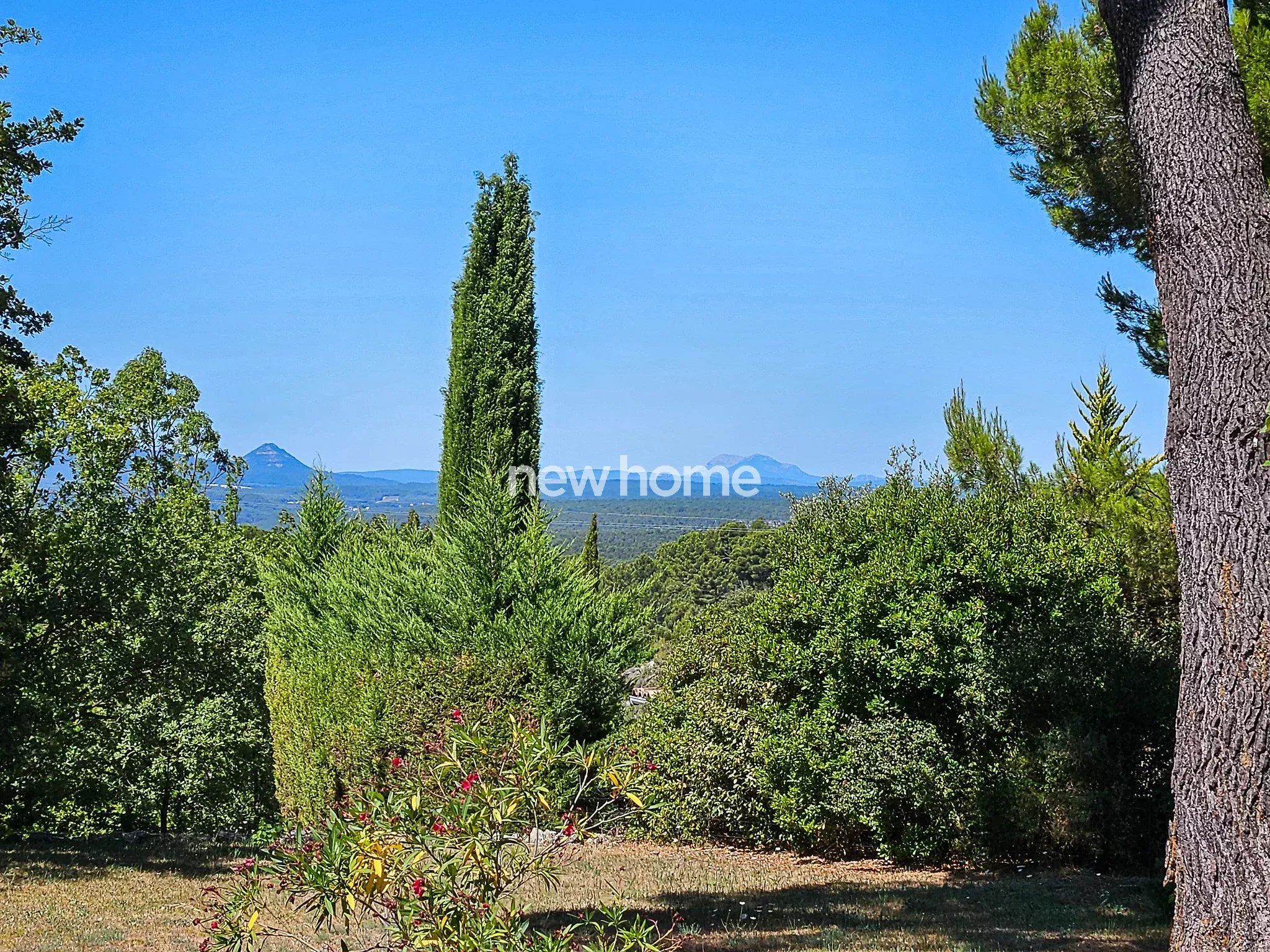 Havre de paix au cur de la nature avec vaste terrain arboré