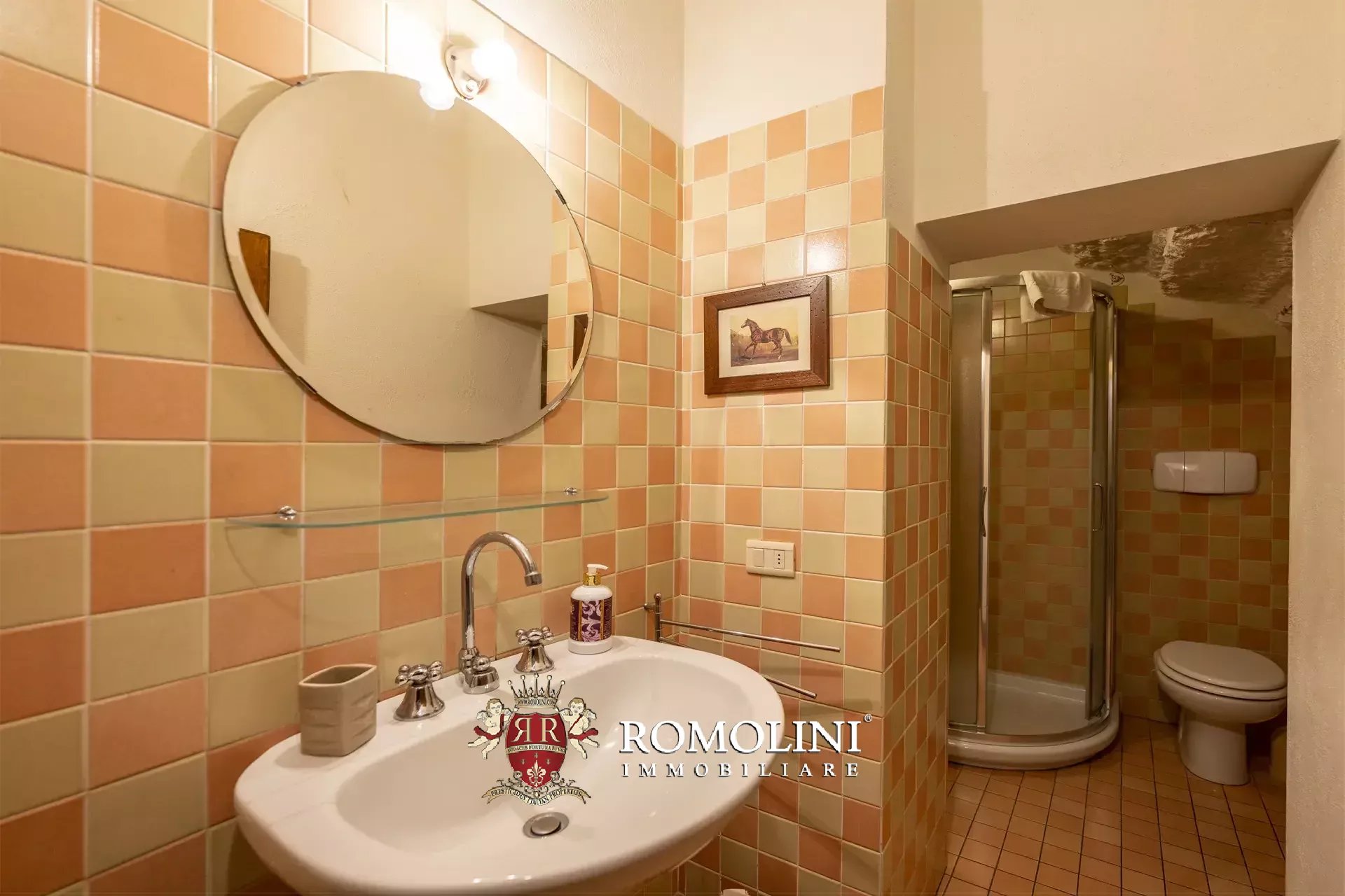 9 Bedroom Horse Property's Image 79