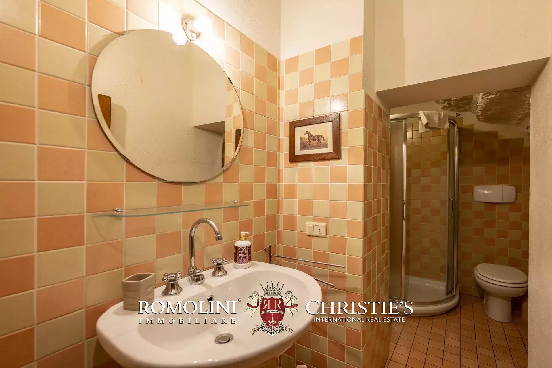 9 Bedroom Horse Property's Image 79