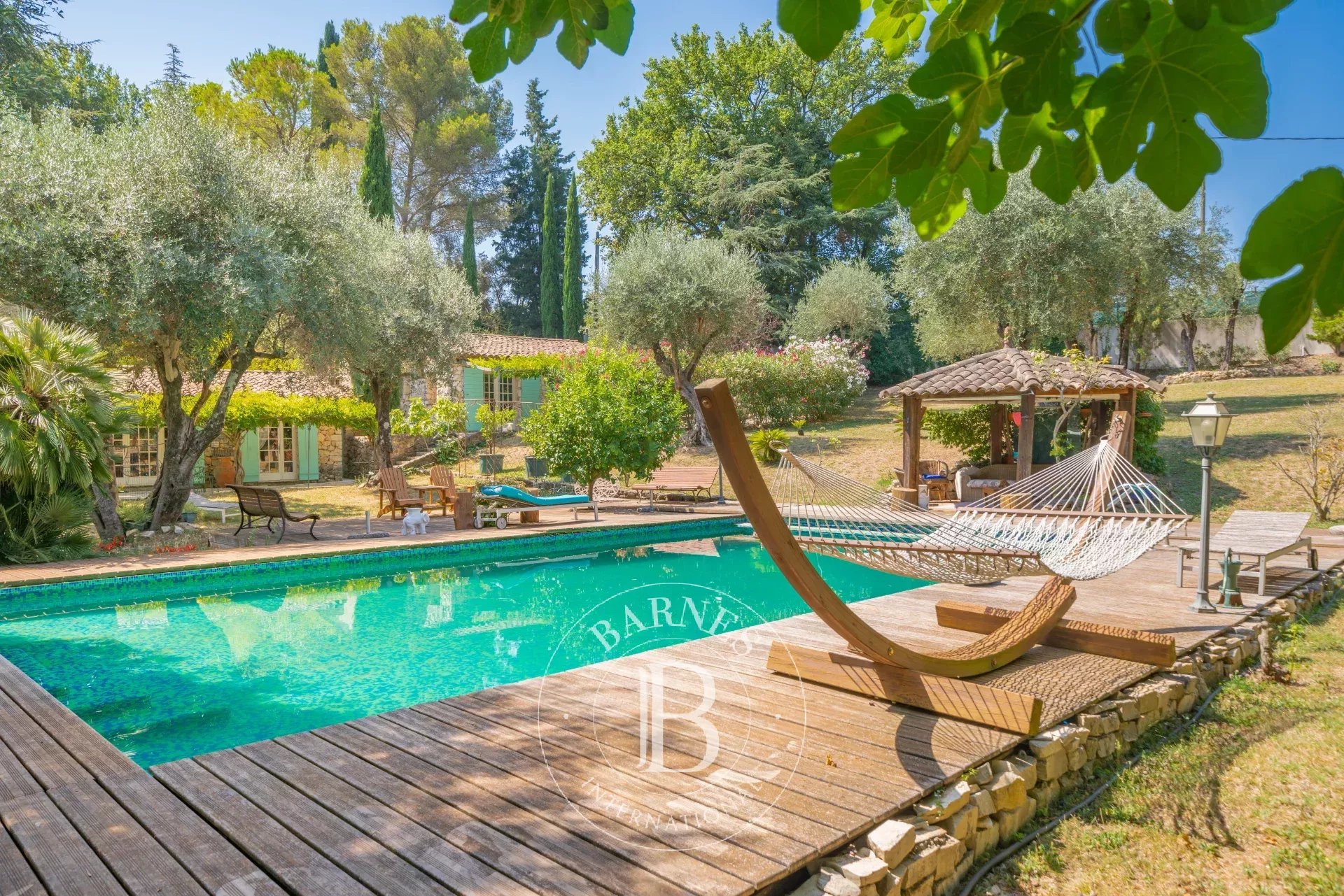 Ev Opio - picture 29