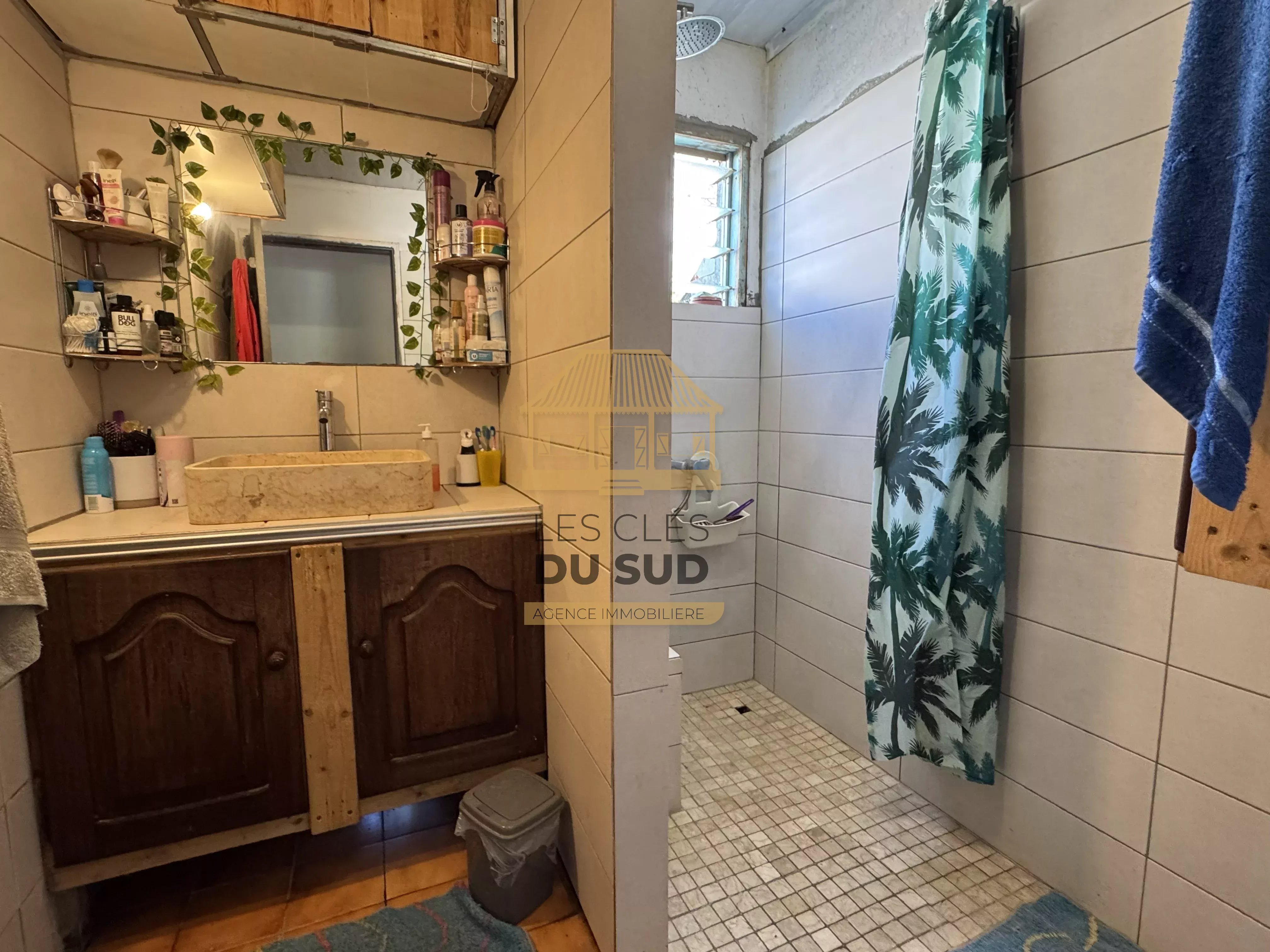 MAISON CRÉOLE DE PLAIN-PIED – SAINT-PHILIPPE – CALME ABSOLU ET POTENTIEL RARE