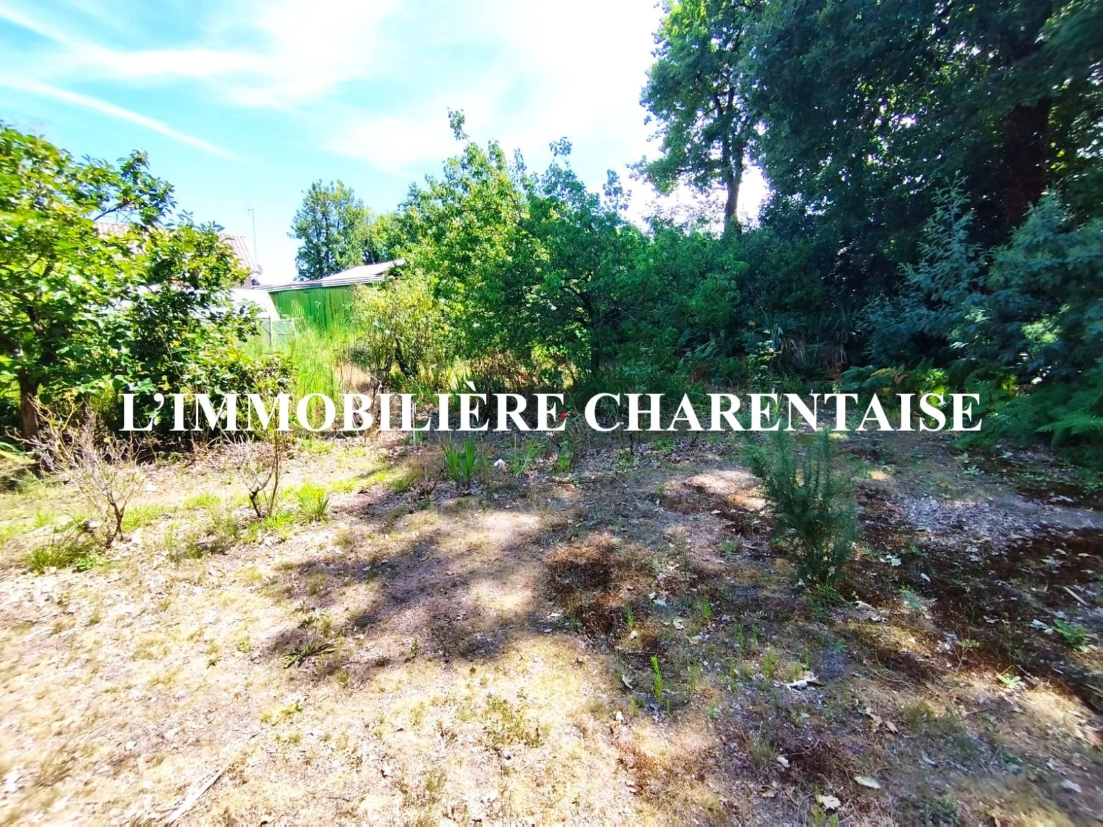 Agence immobilière de L'Immobilière Charentaise