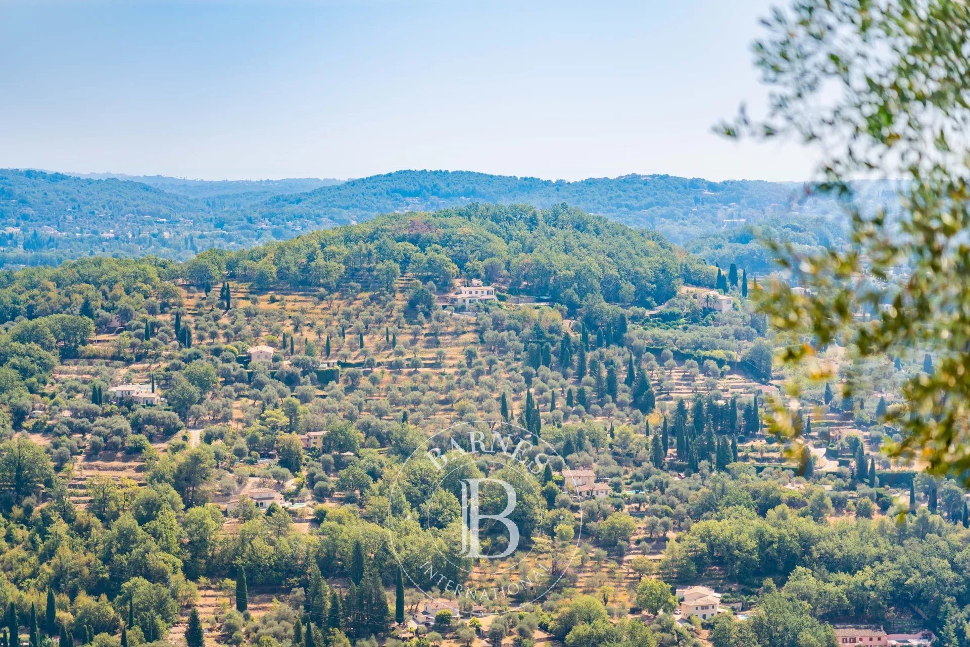 Ev Grasse - picture 10