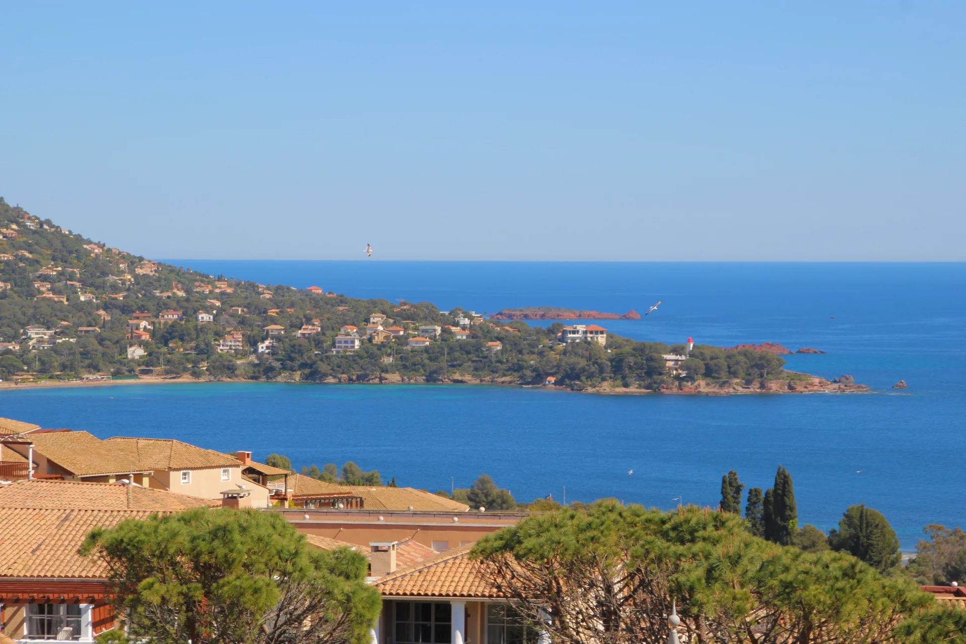 Agence immobilière de Azzurra Immobilier