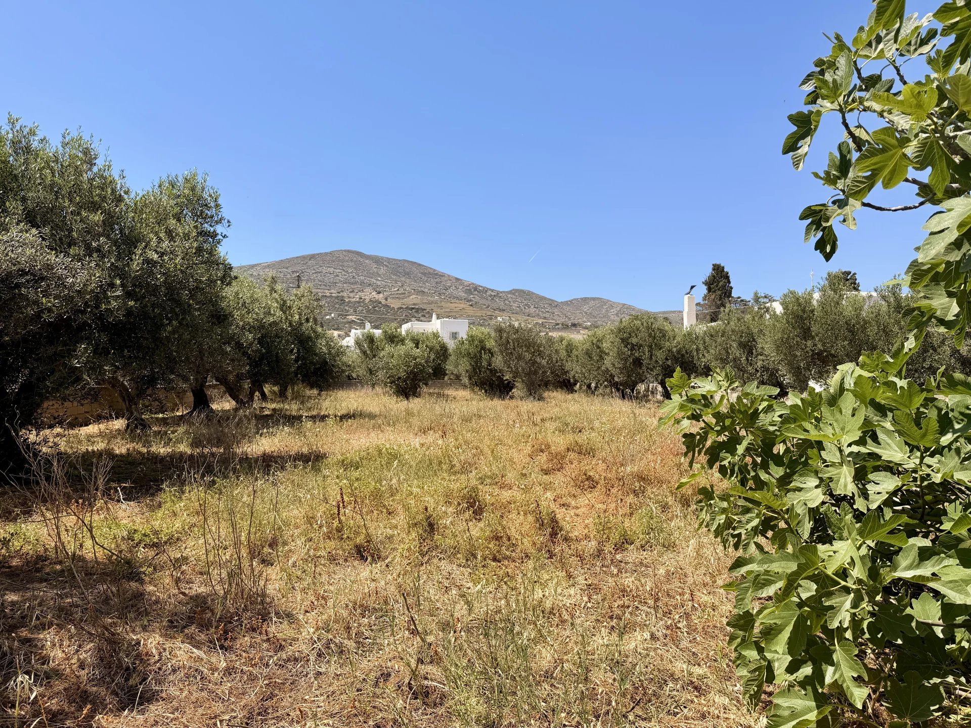 Image de la propriété 2
