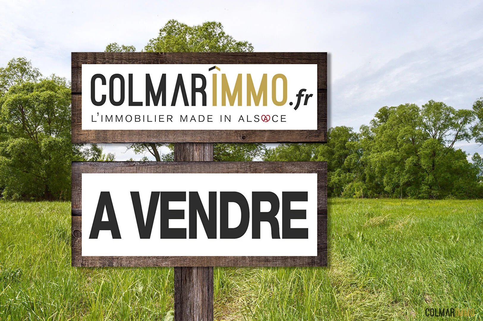Vente Terrain Wihr-au-Val