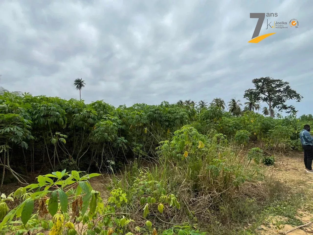 Vente Terrain Jacqueville