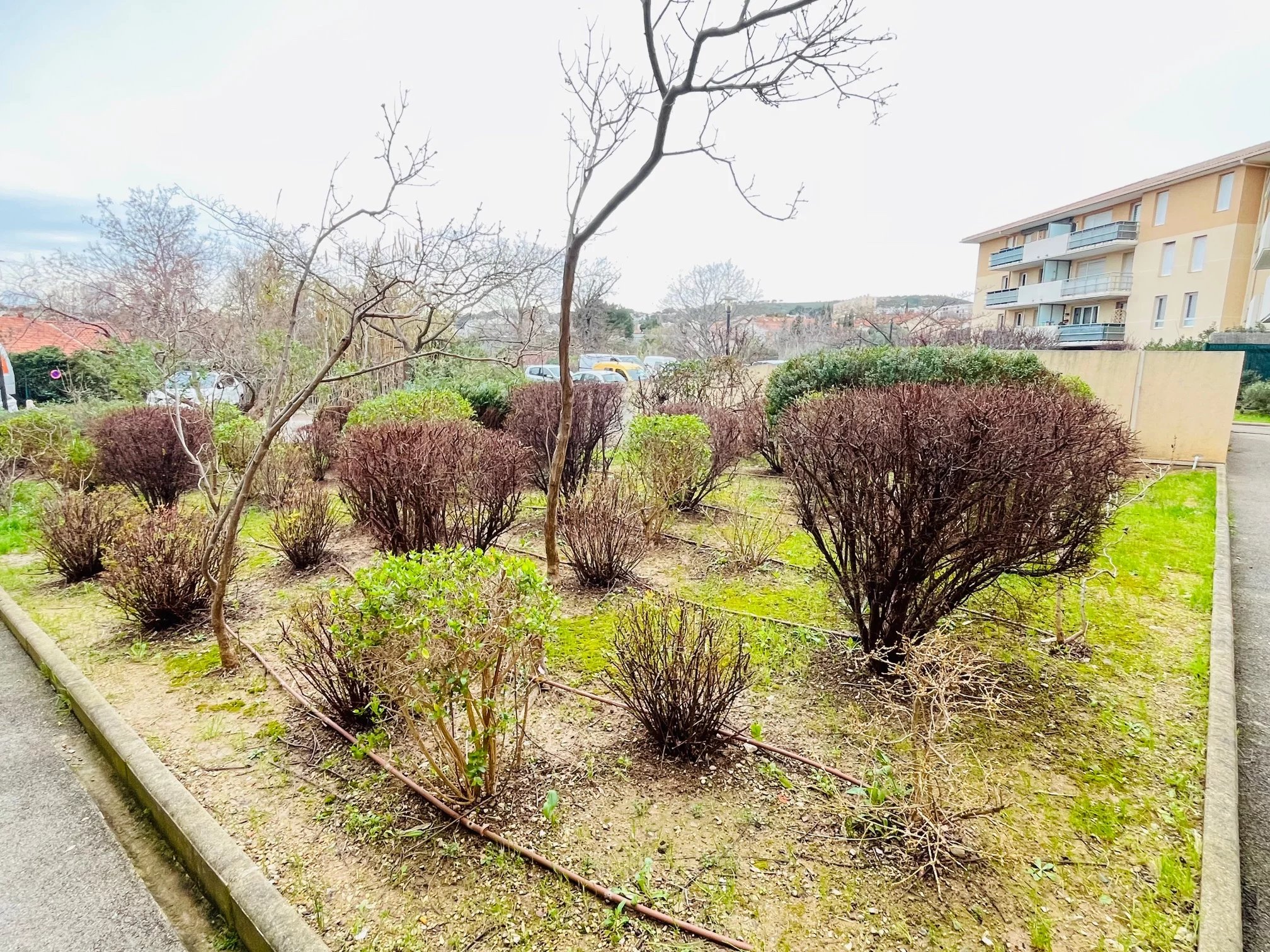 Agence immobilière de TRIHOME IMMOBILIER