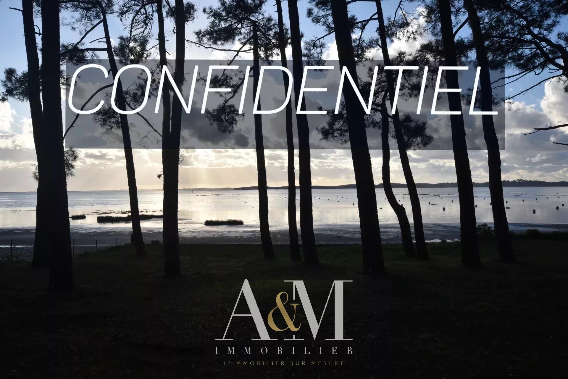 Somptueuse Villa de Prestige TAUSSAT