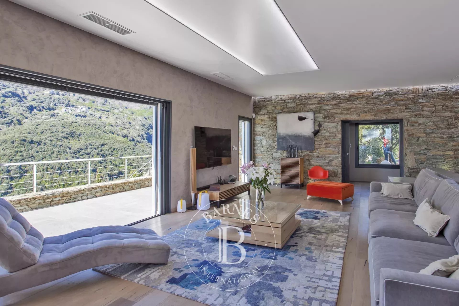 Villa Bastia - picture 7