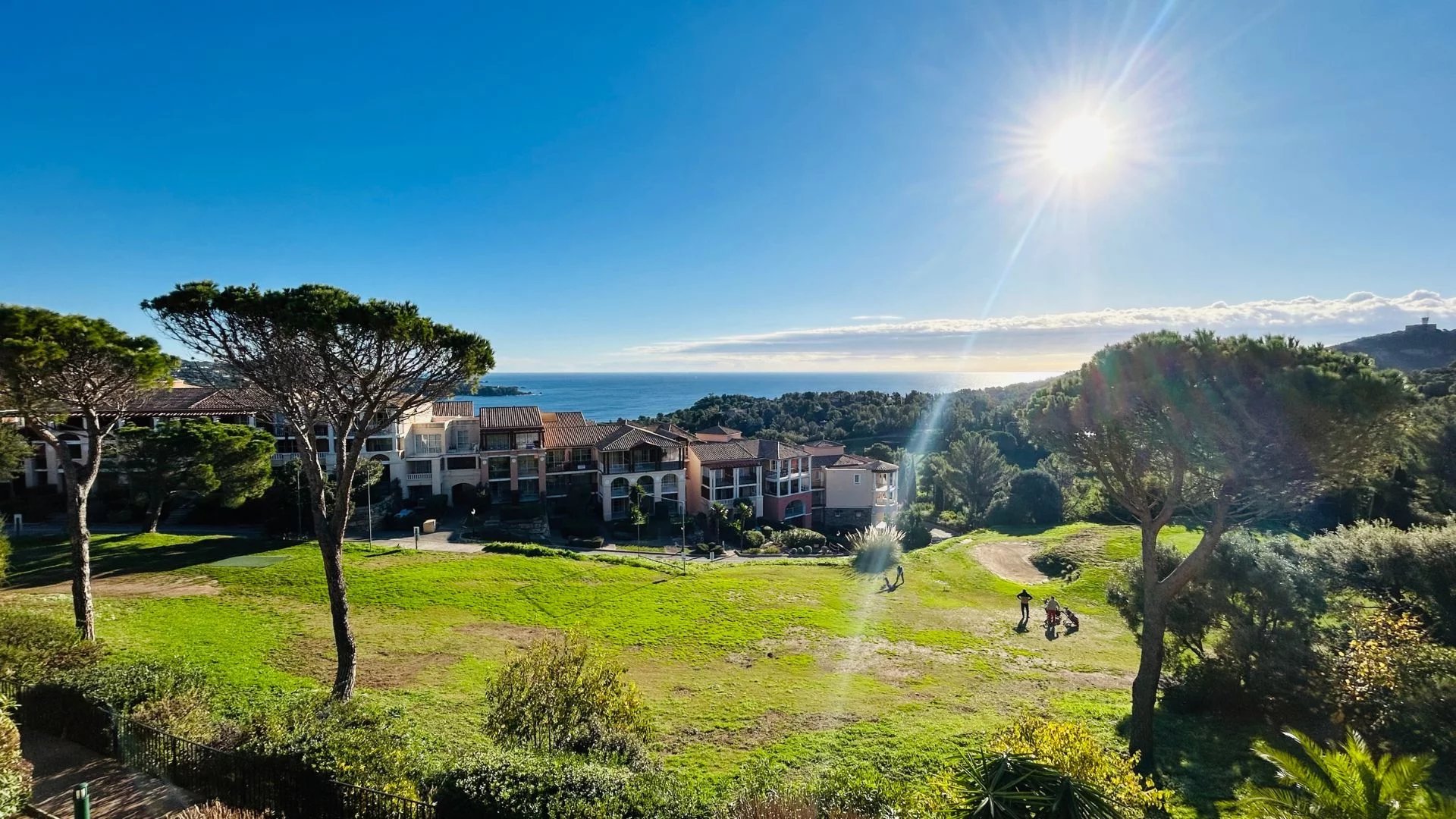 Agence immobilière de Azzurra Immobilier