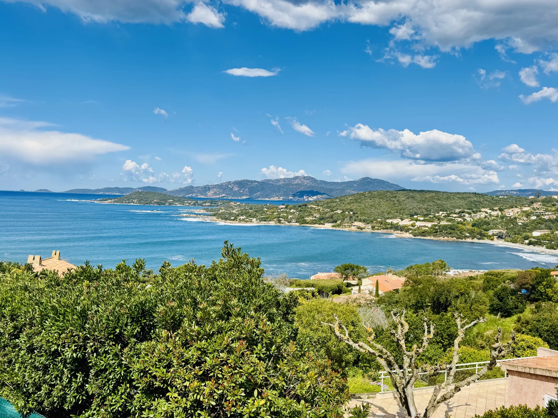 Vente Maison jumelée Pietrosella