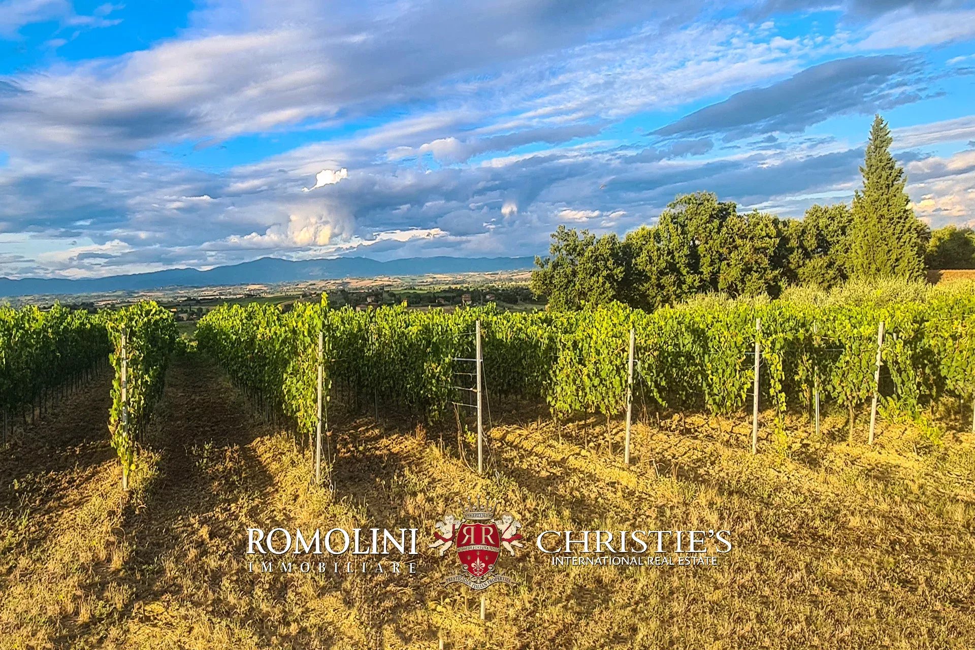 Property Slider Image
