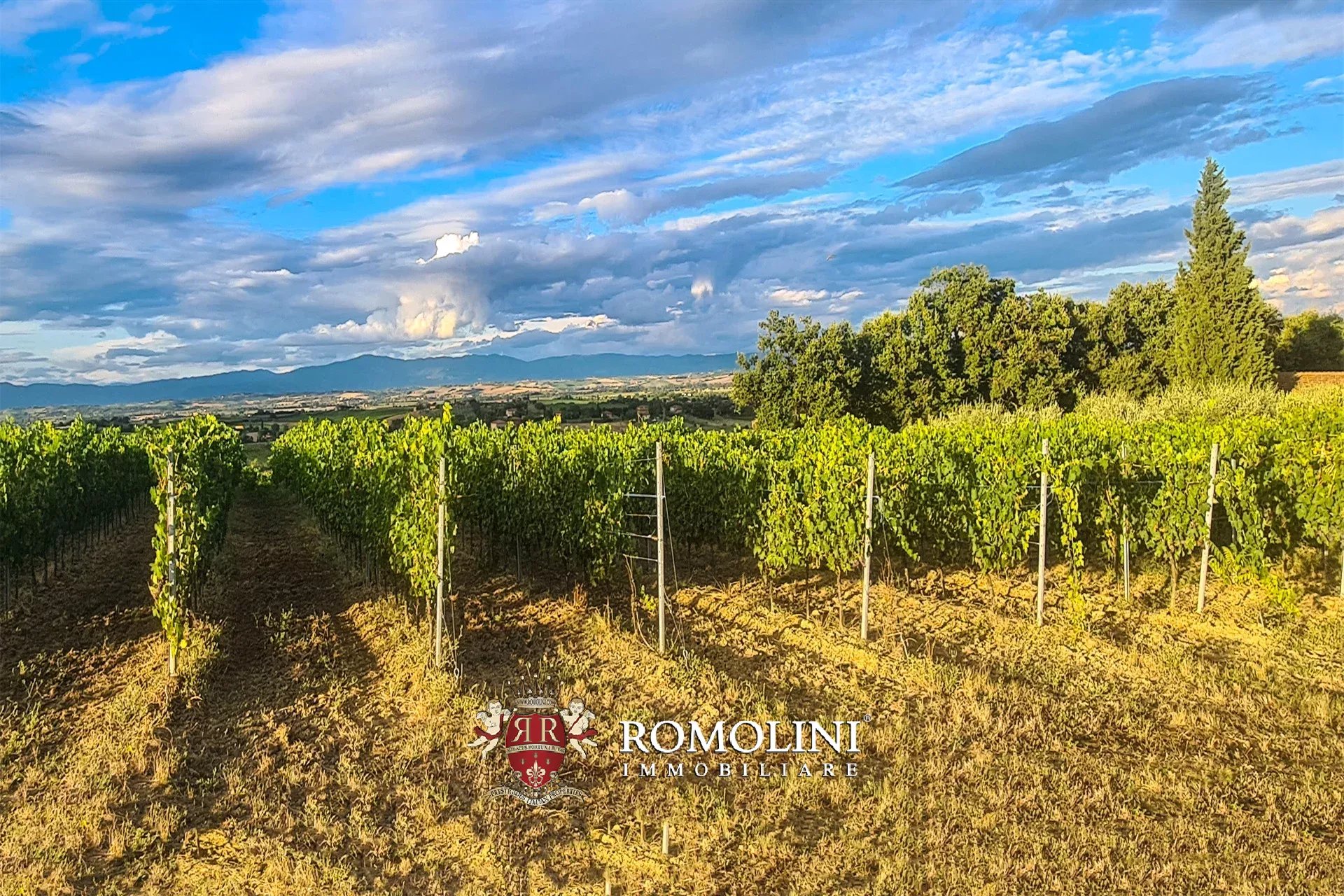 Property Slider Image